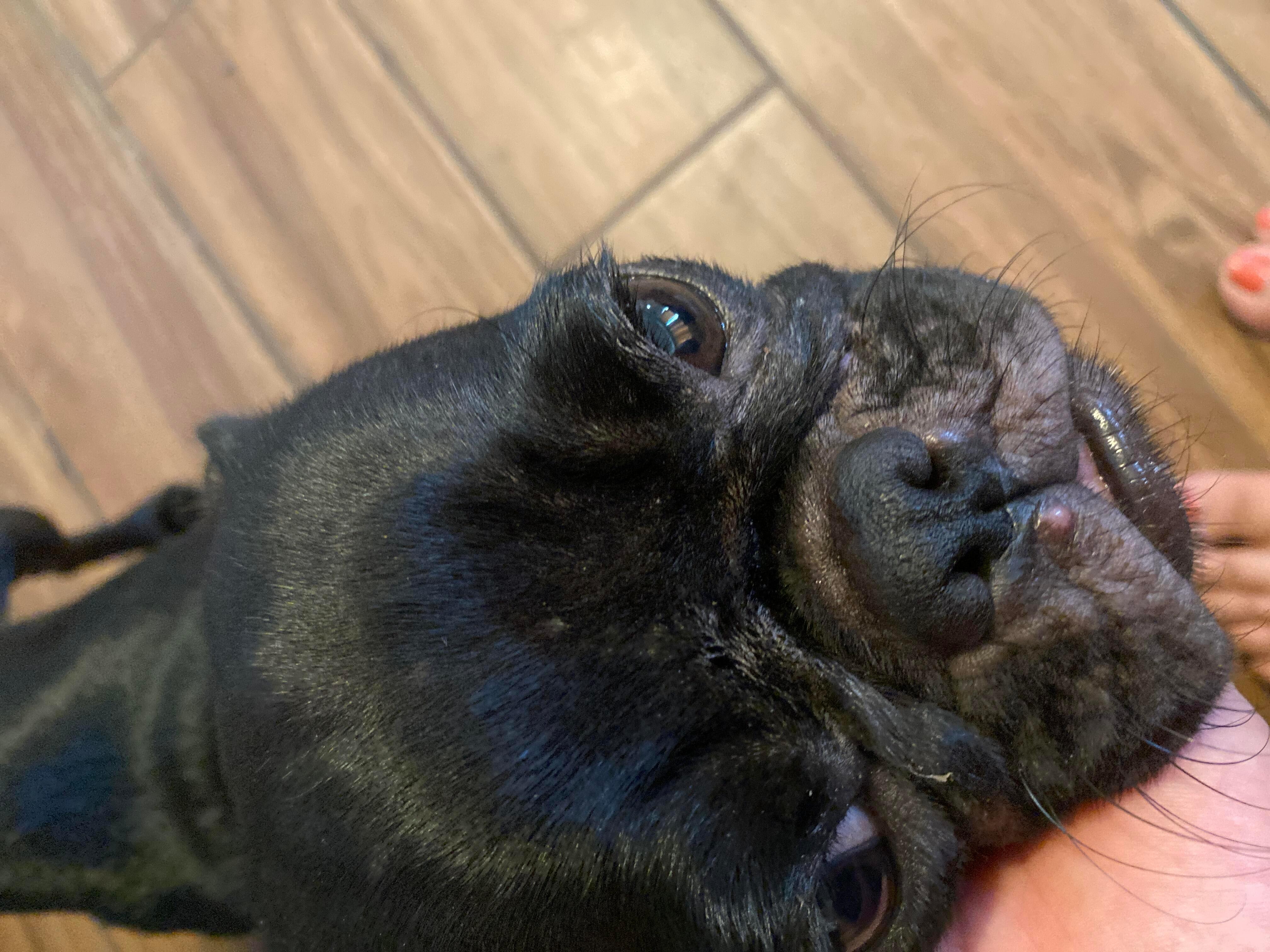 Question details sensitive content