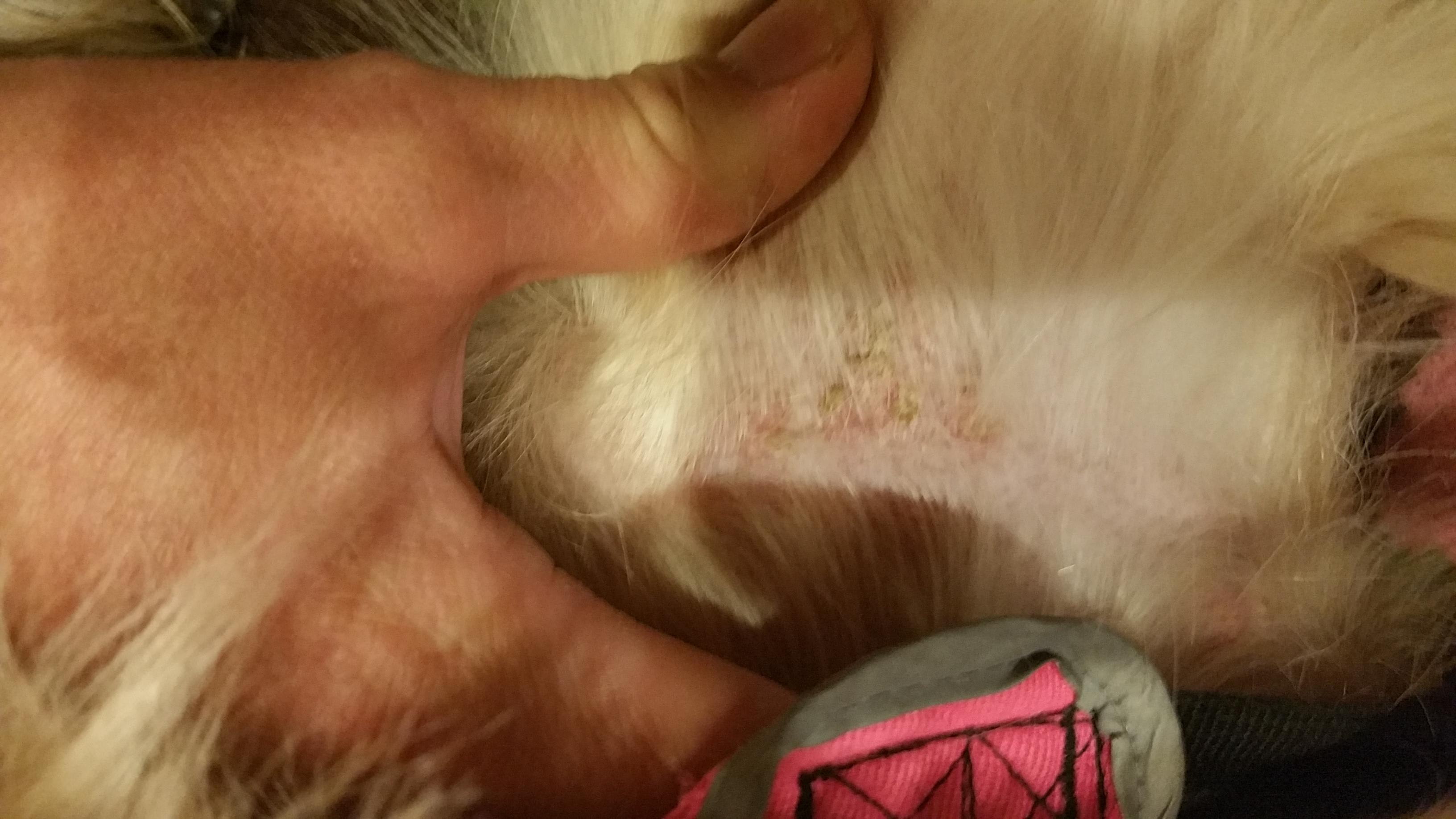 Question details sensitive content