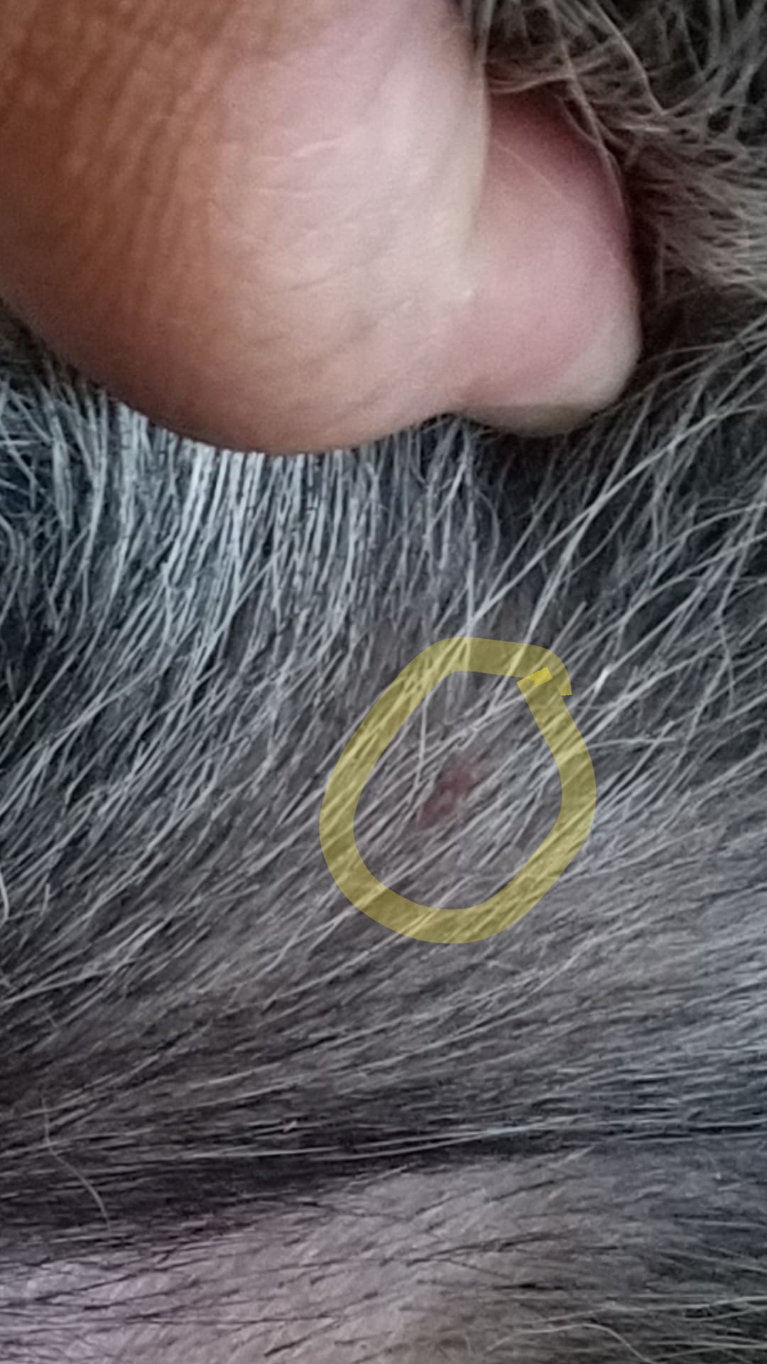 Question details sensitive content