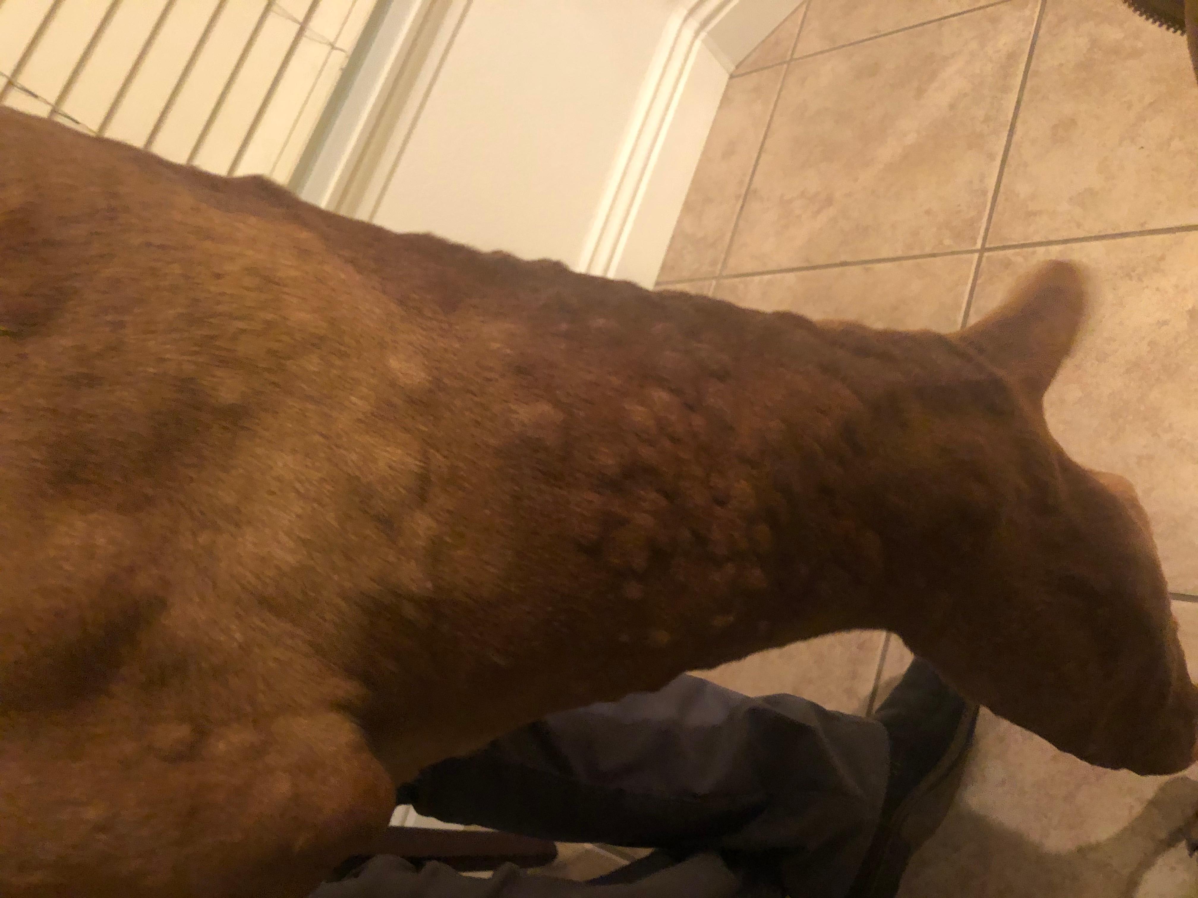 Question details sensitive content