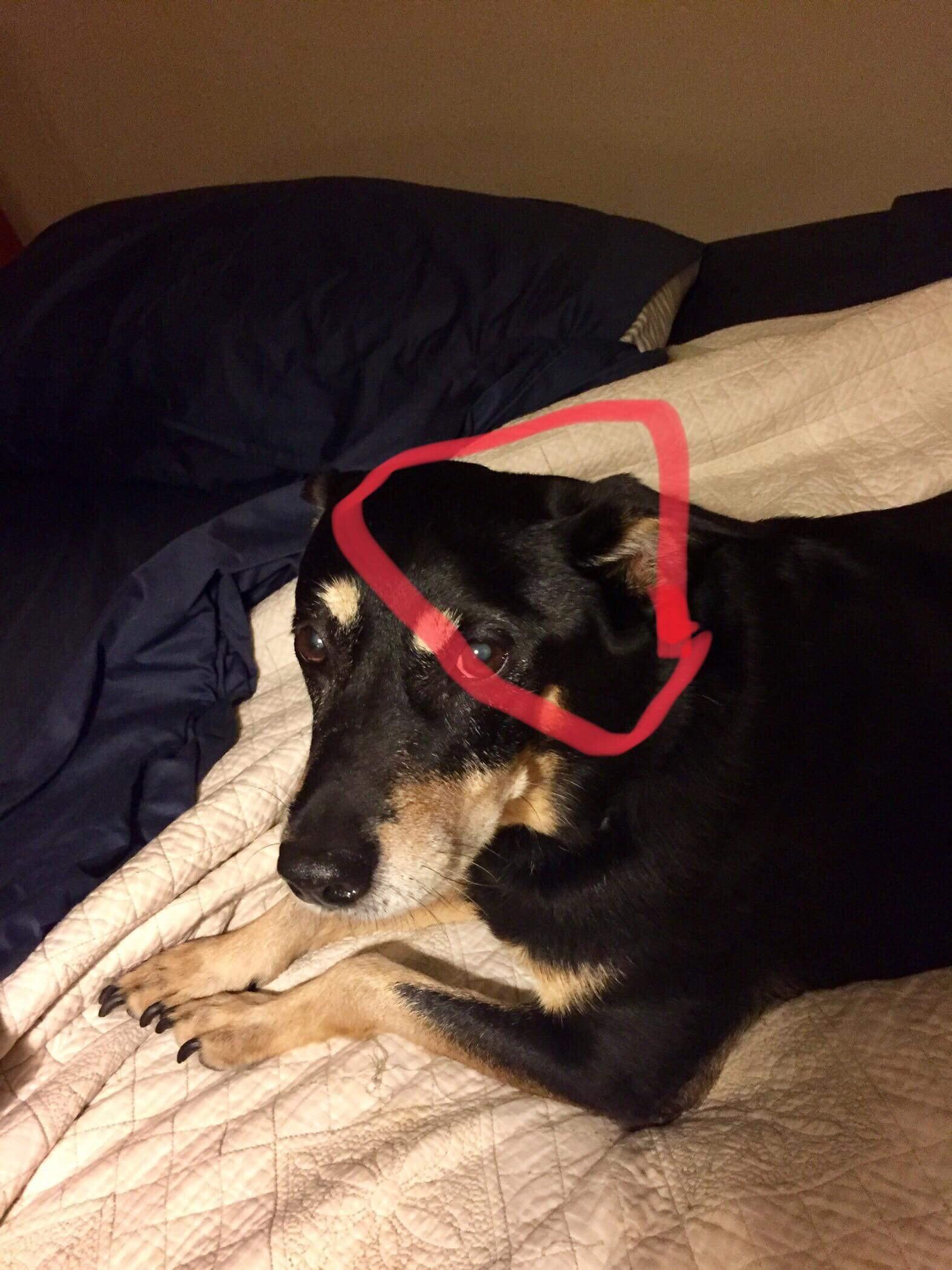 Question details sensitive content