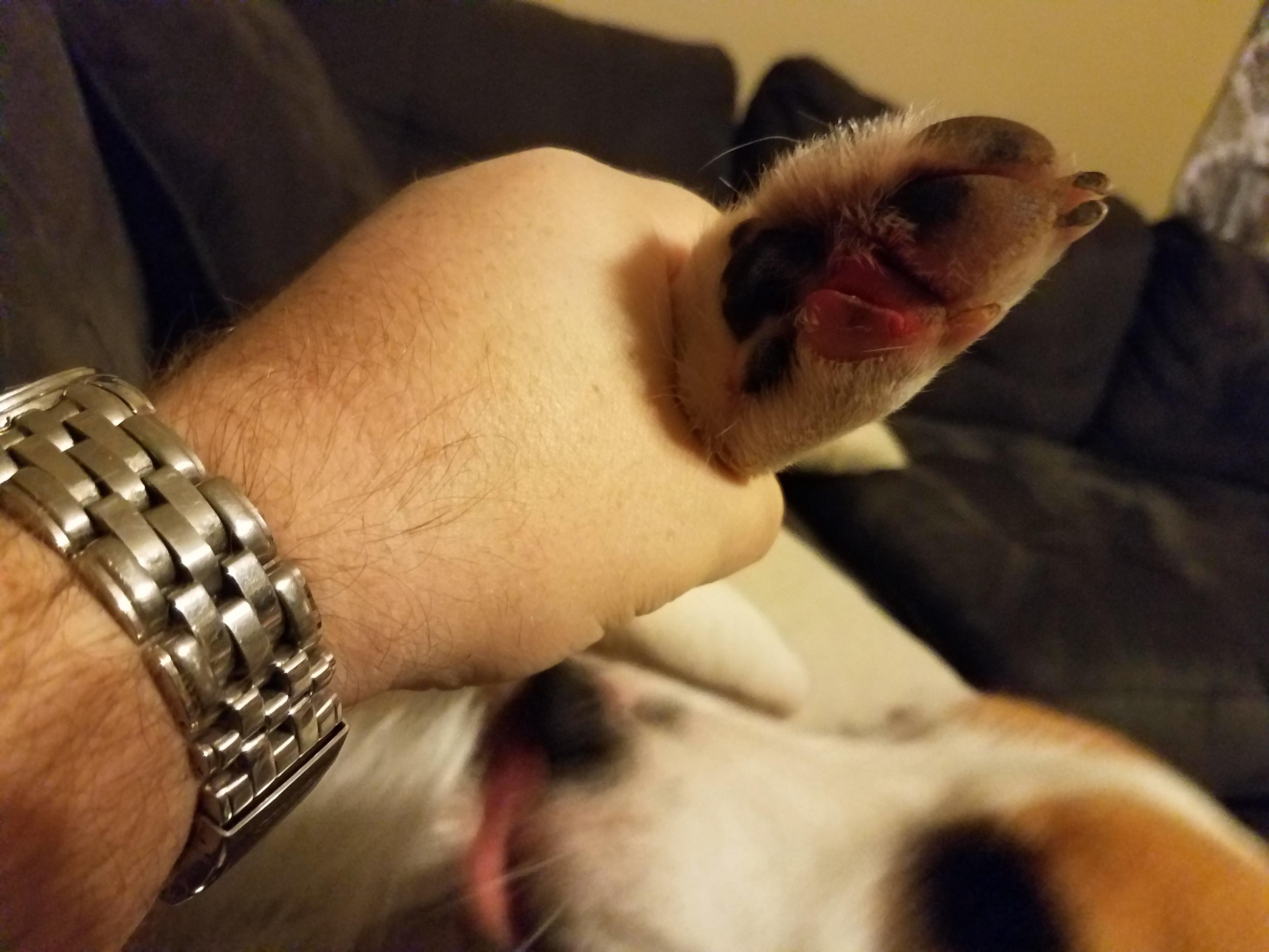 Question details sensitive content