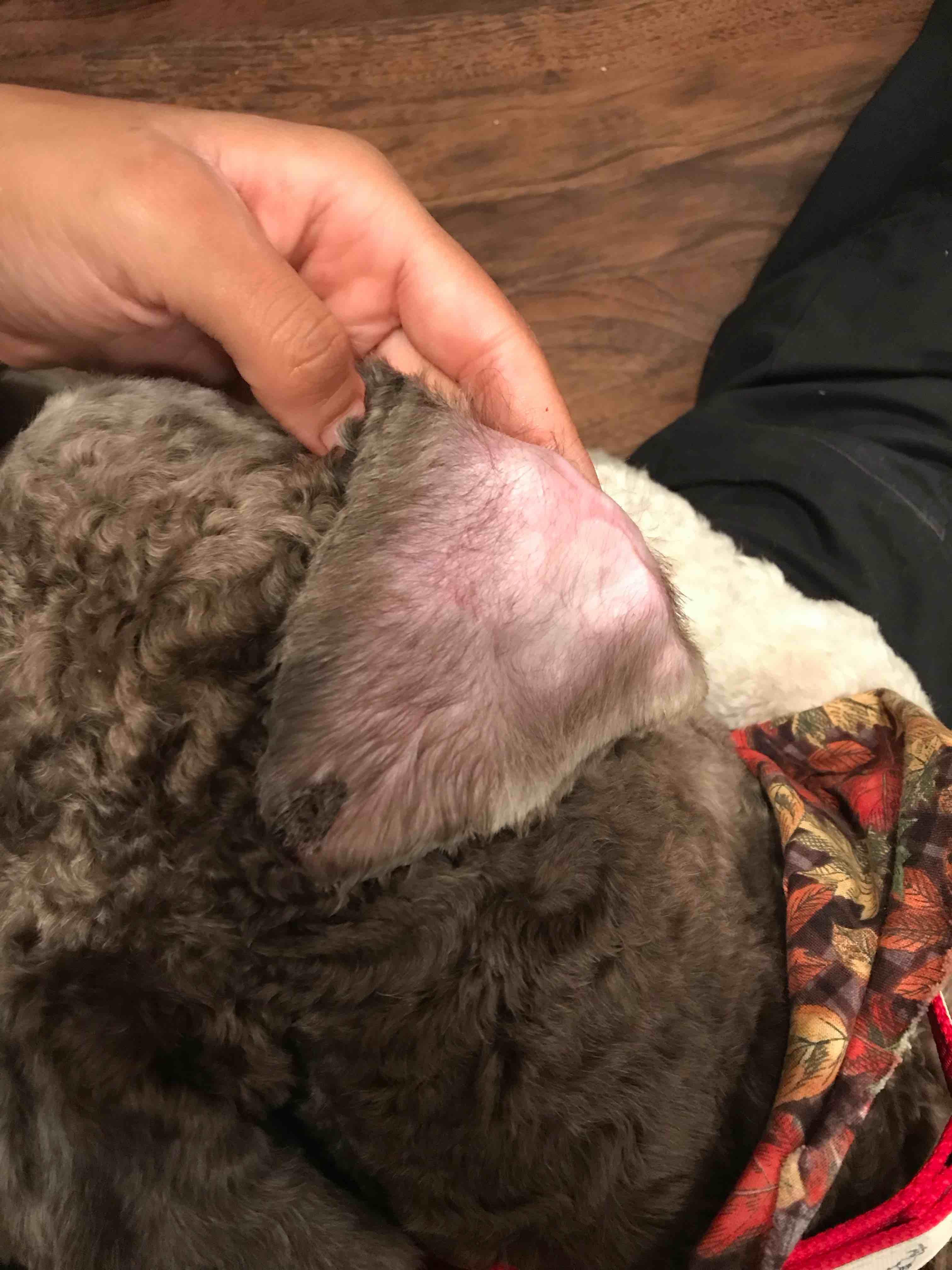 Question details sensitive content