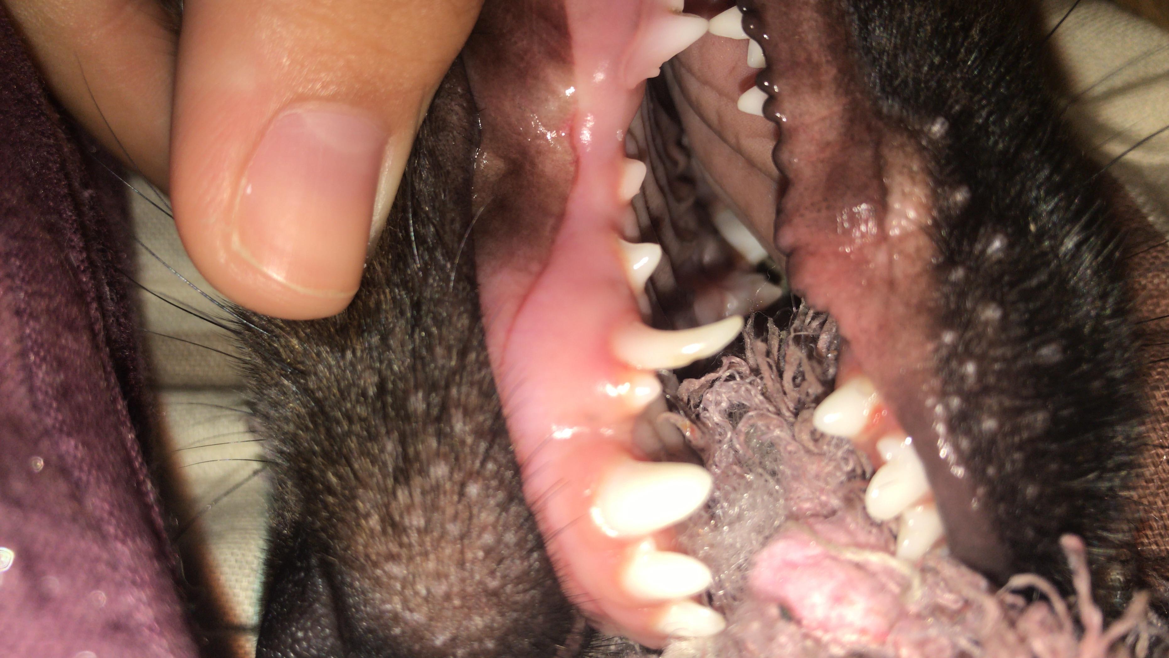 Question details sensitive content