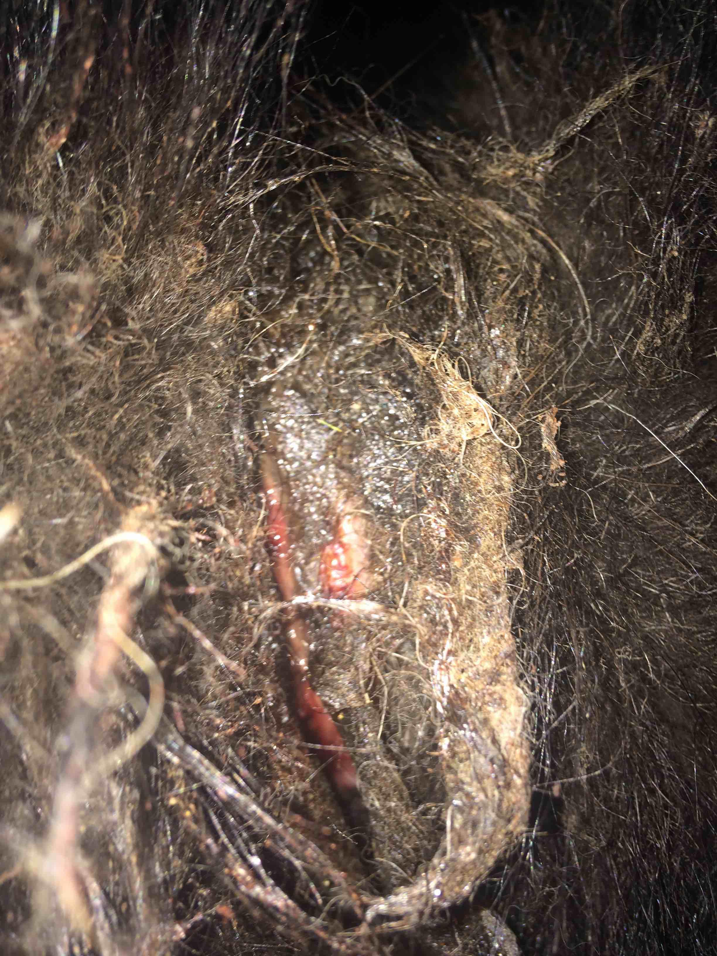 Question details sensitive content