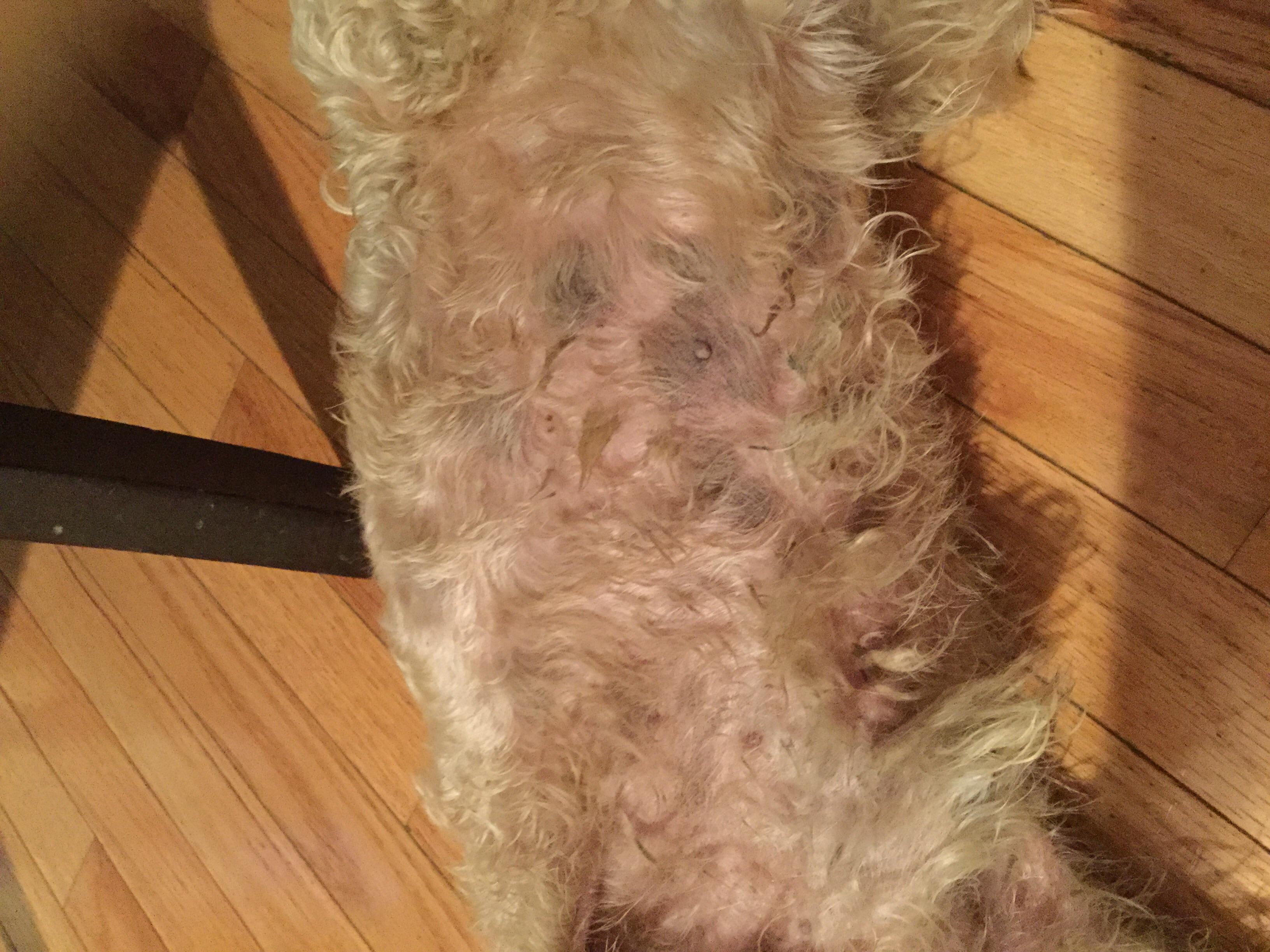 Question details sensitive content