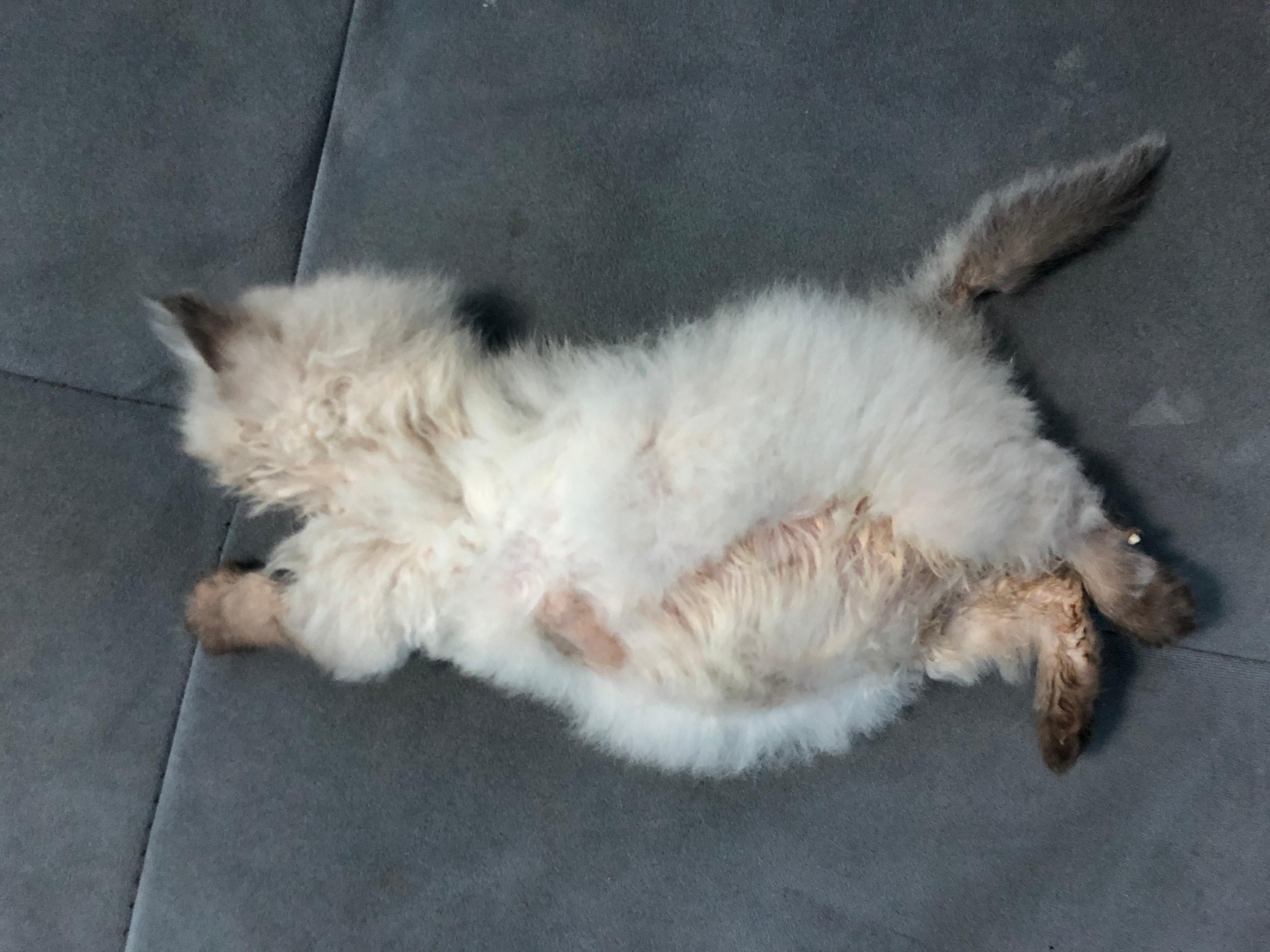 Question details sensitive content