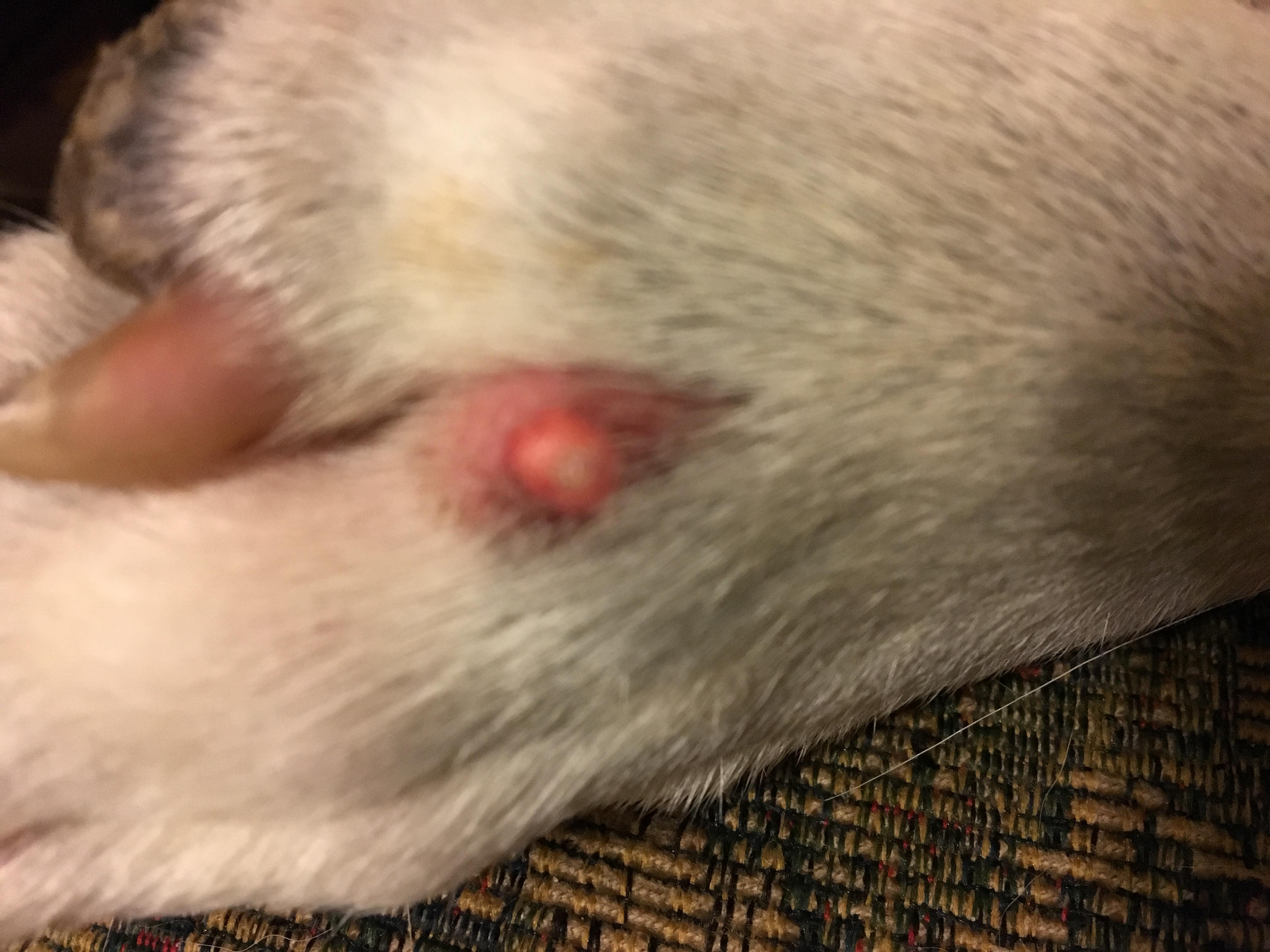 Question details sensitive content