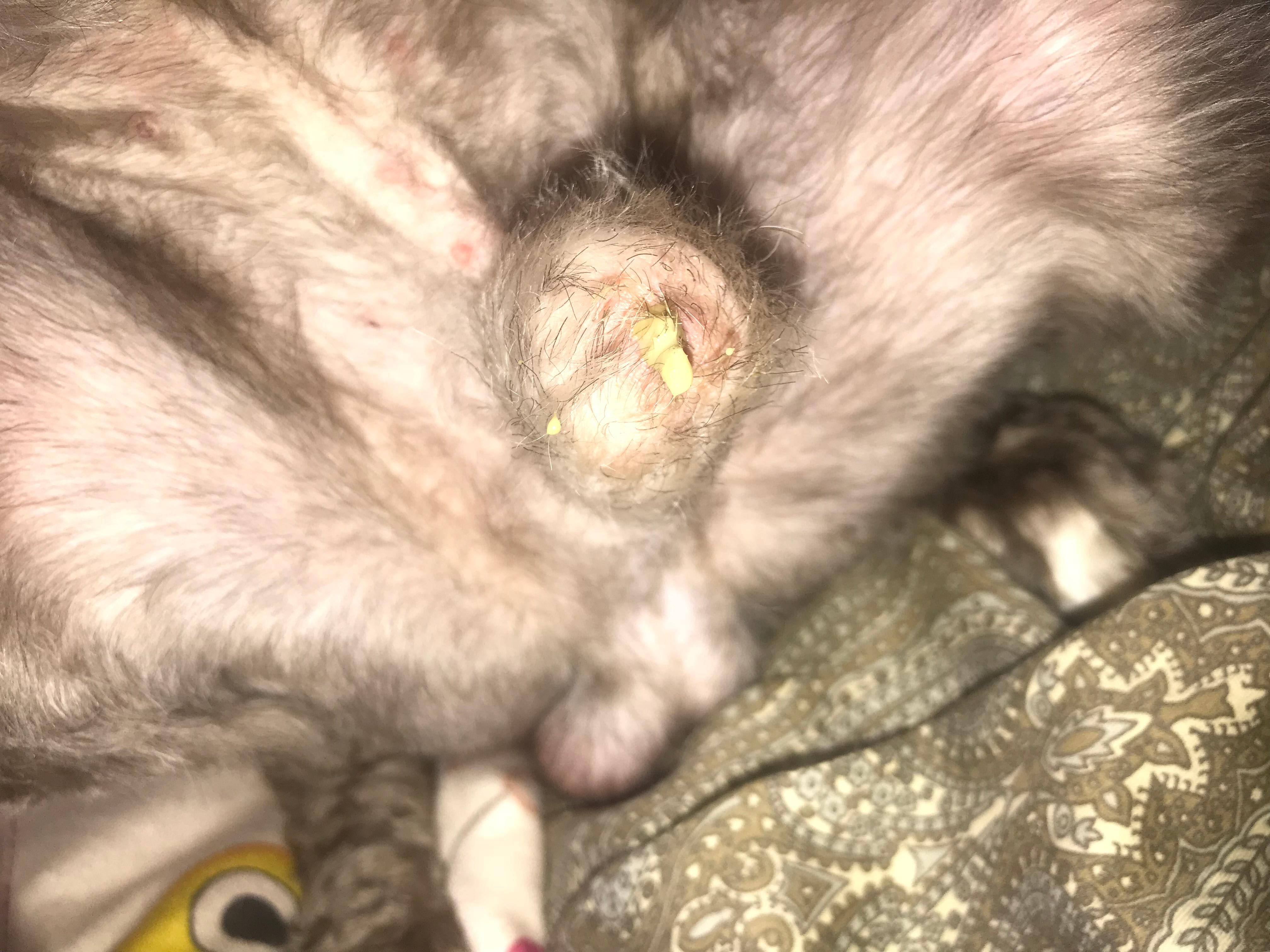 Question details sensitive content