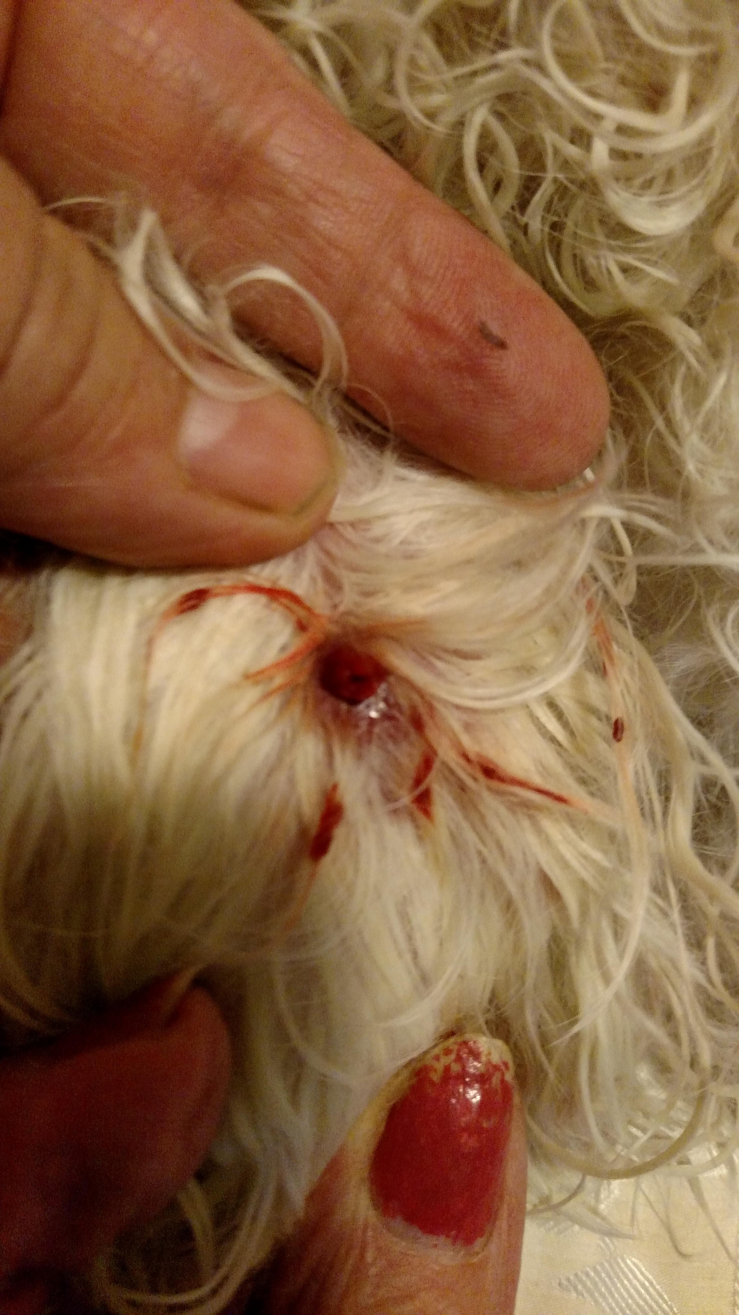 Question details sensitive content