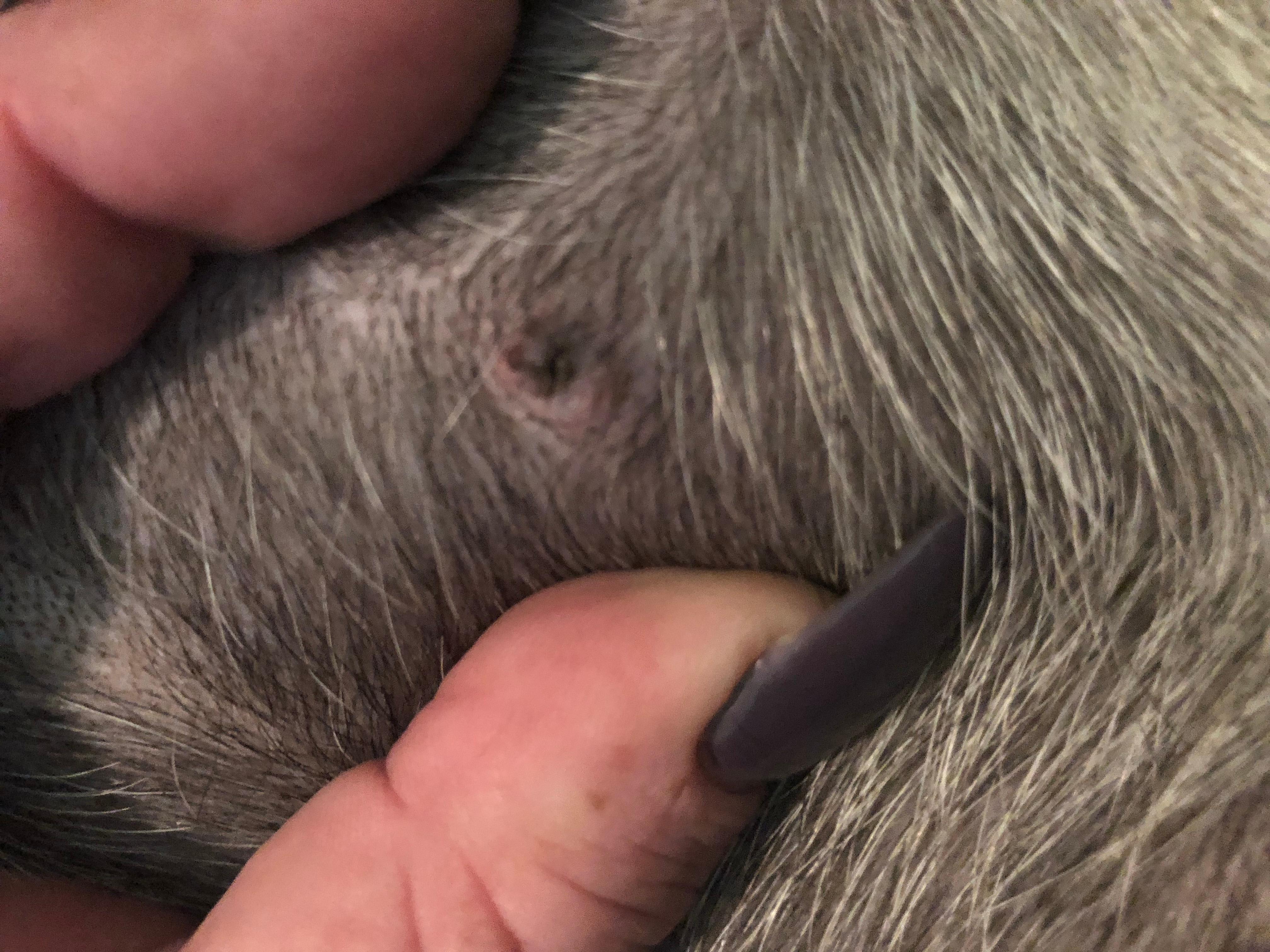 Question details sensitive content