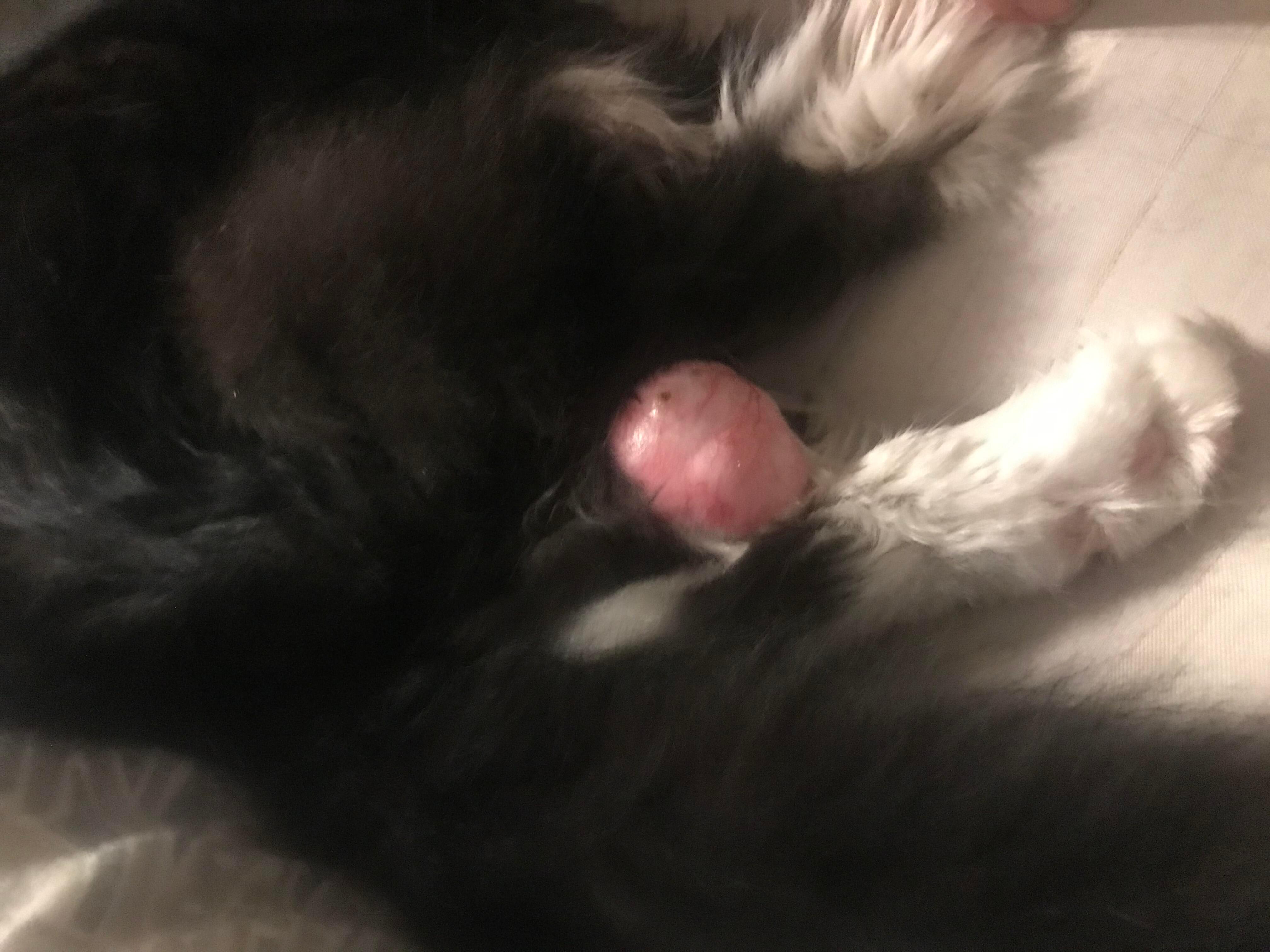 Question details sensitive content