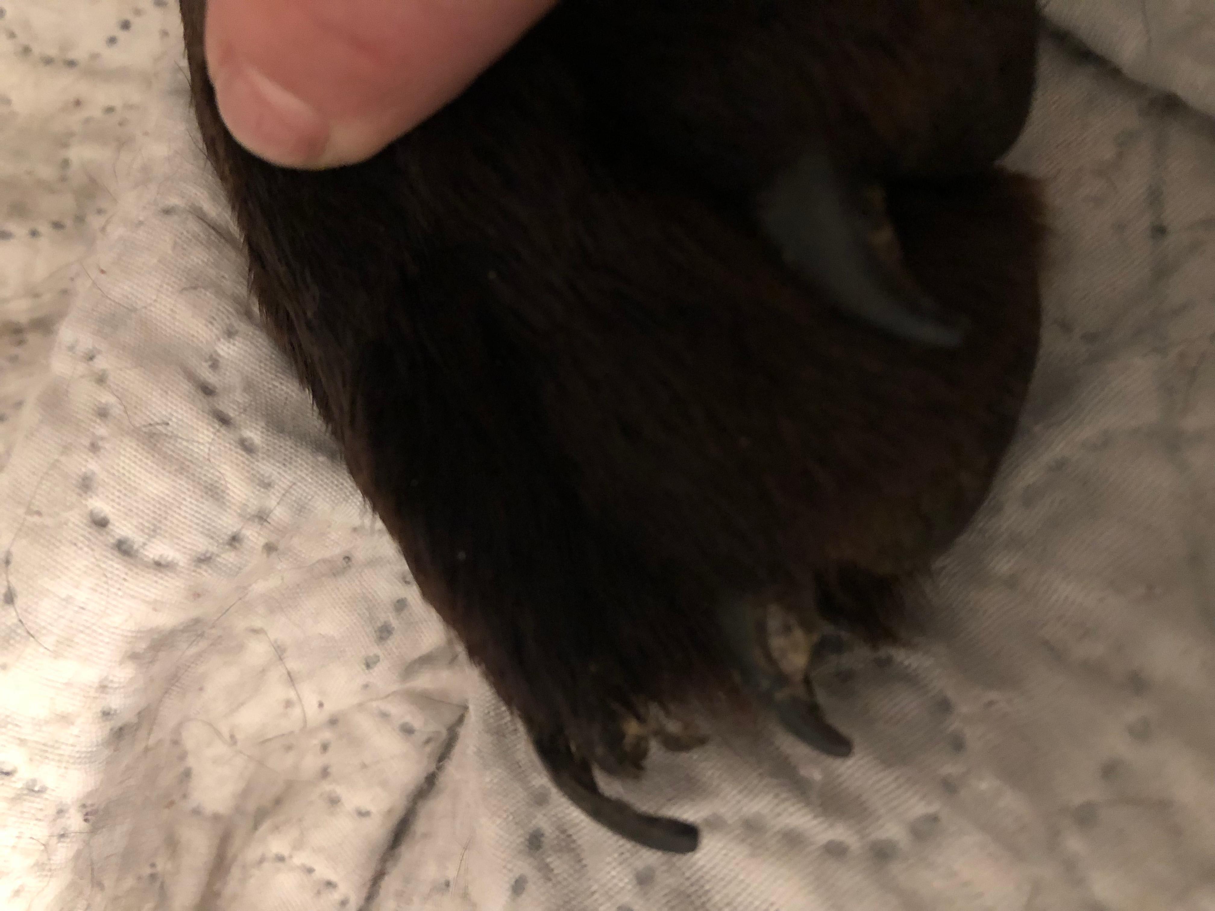 Question details sensitive content