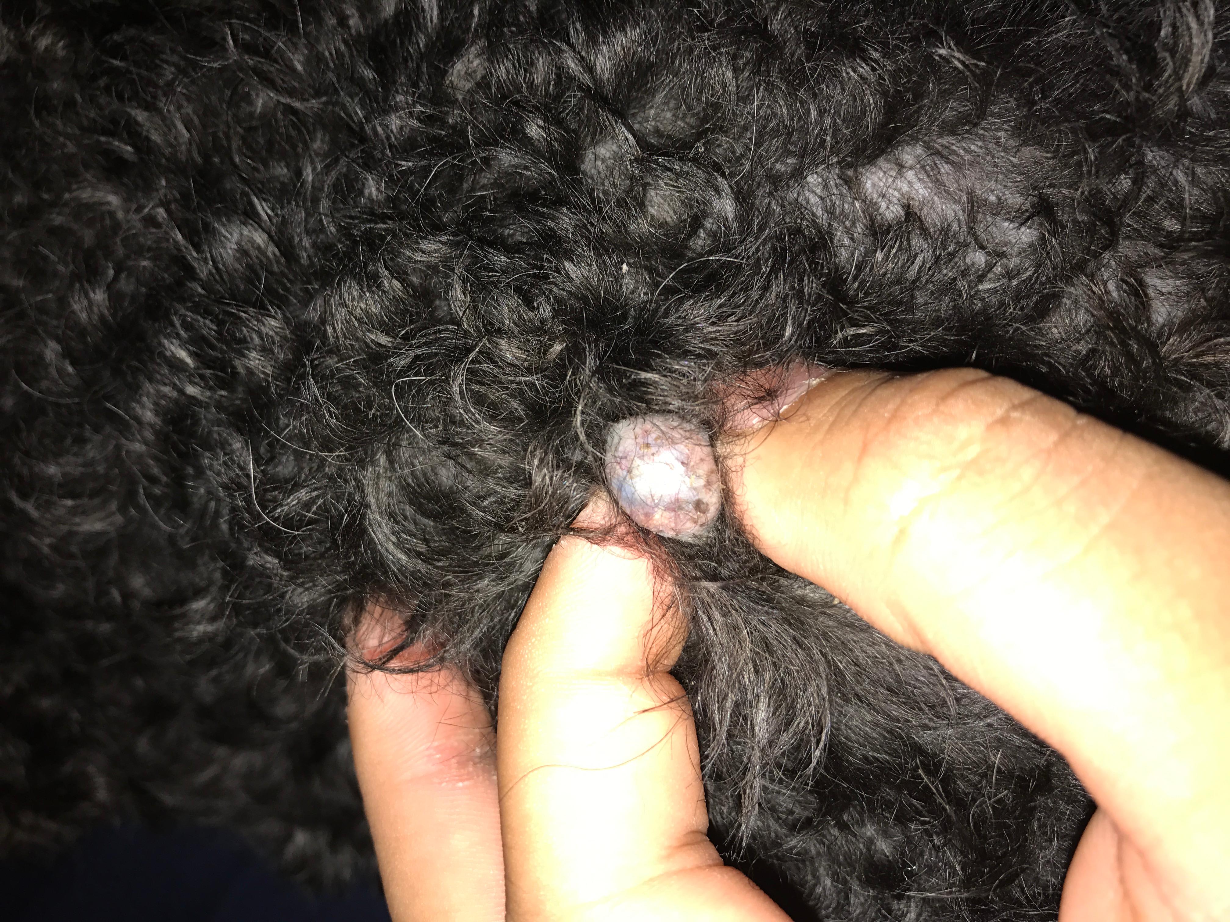 Question details sensitive content