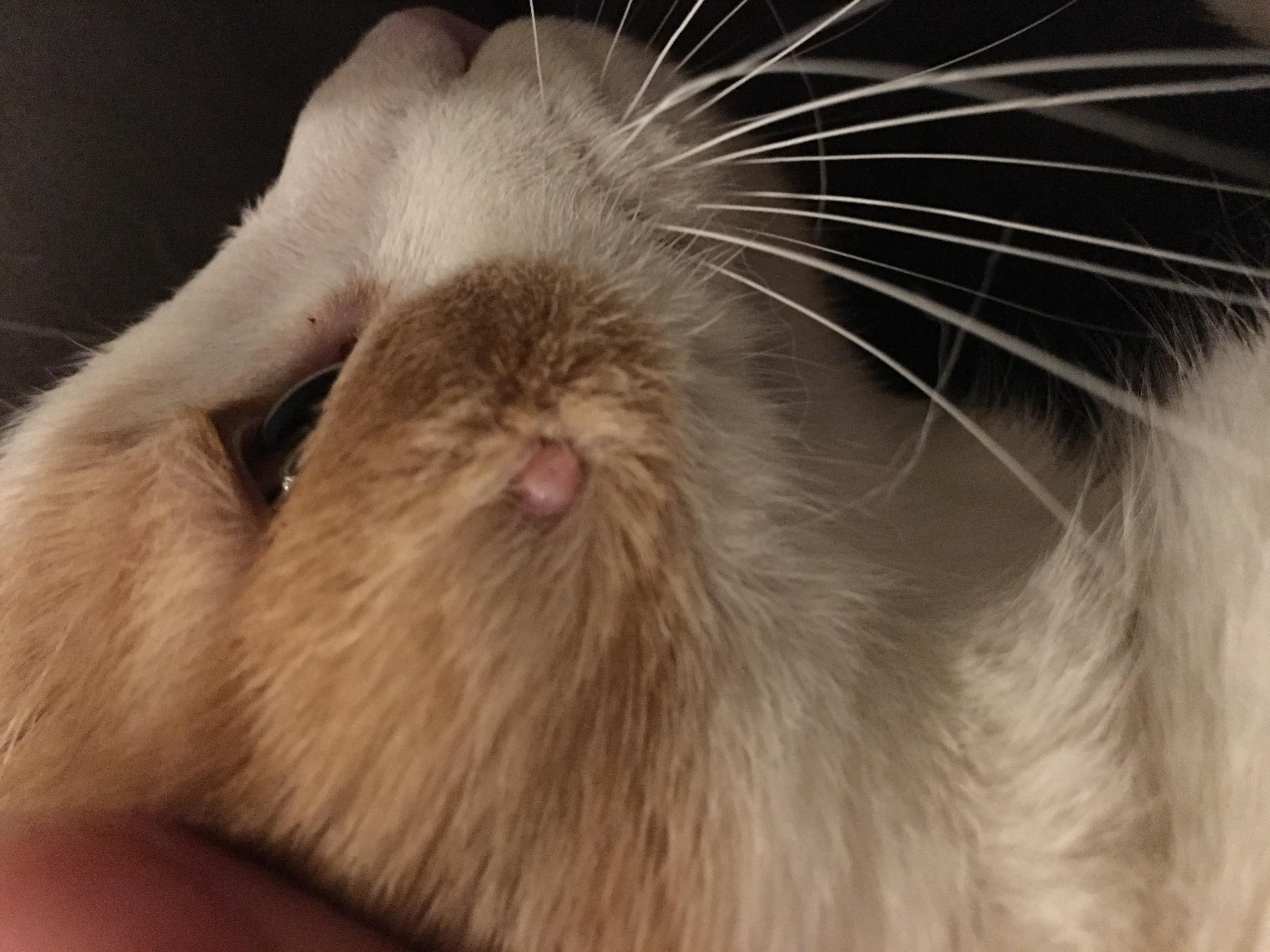 Question details sensitive content