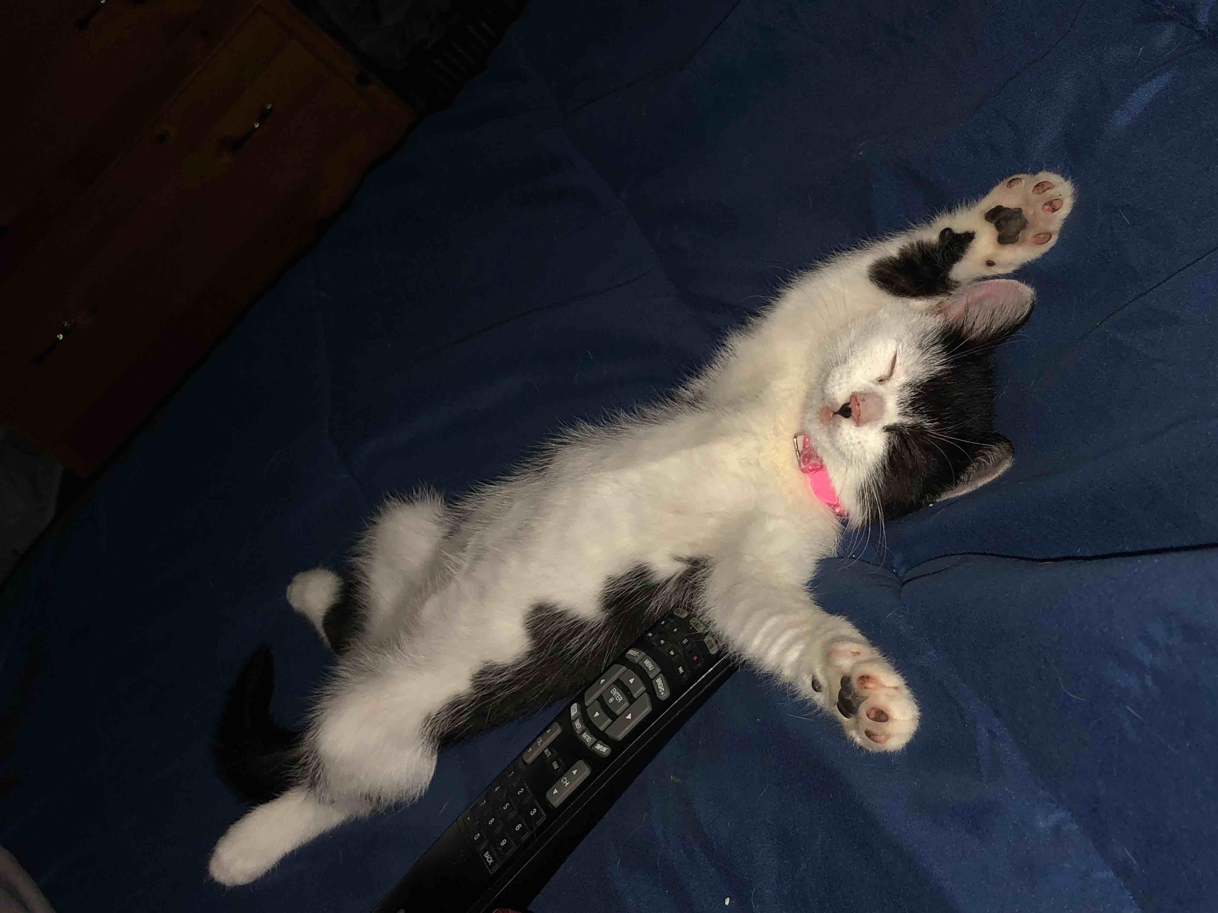 Question details sensitive content