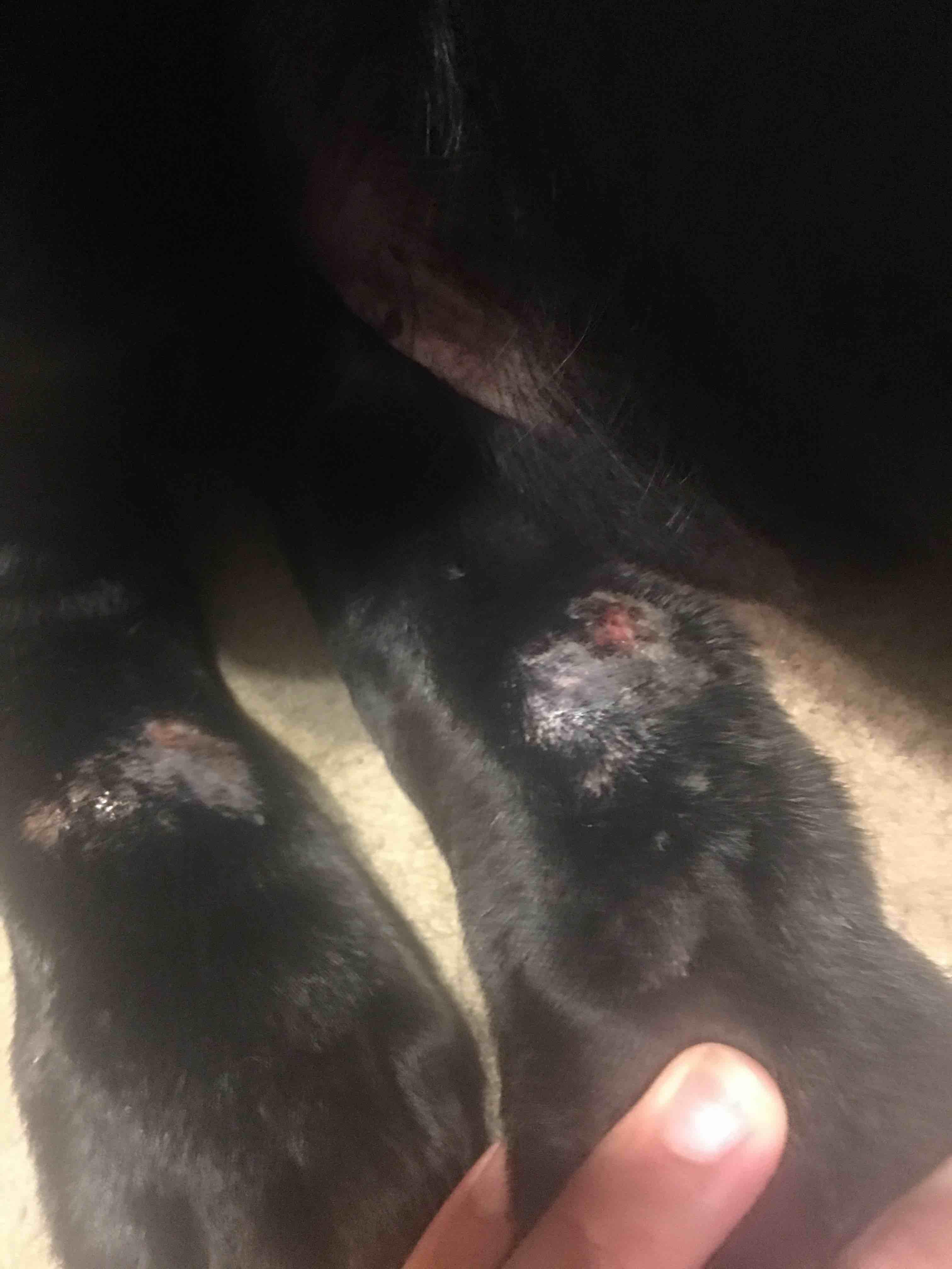 Question details sensitive content