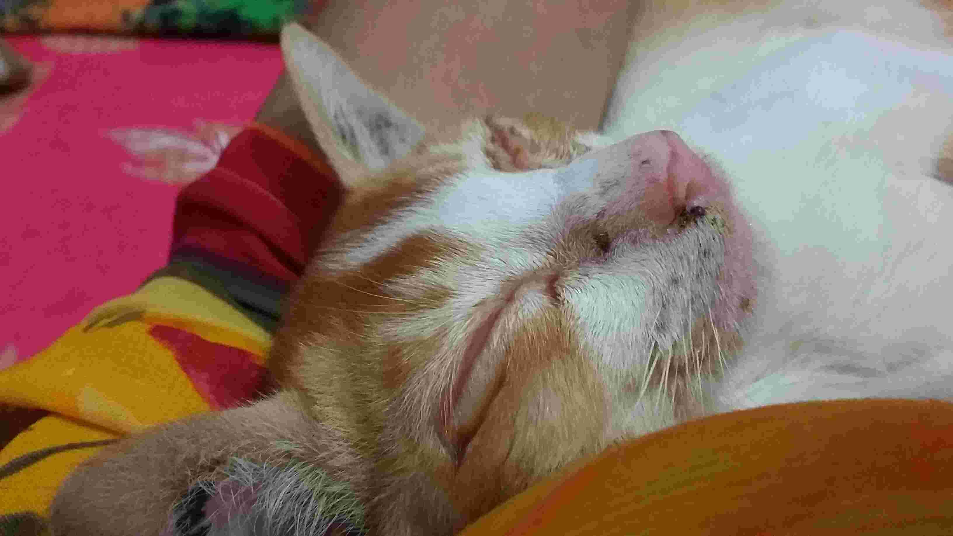 Question details sensitive content