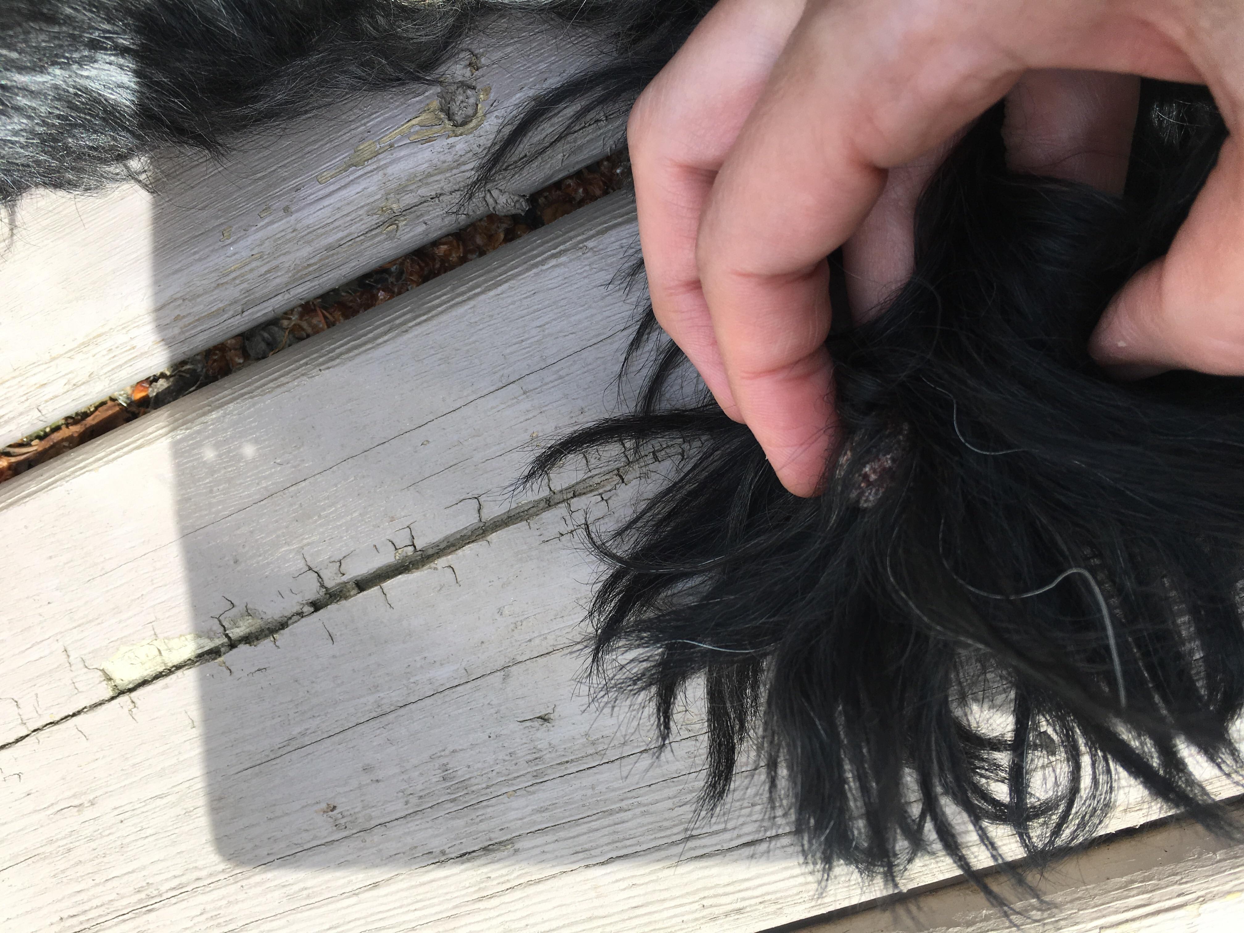 Question details sensitive content