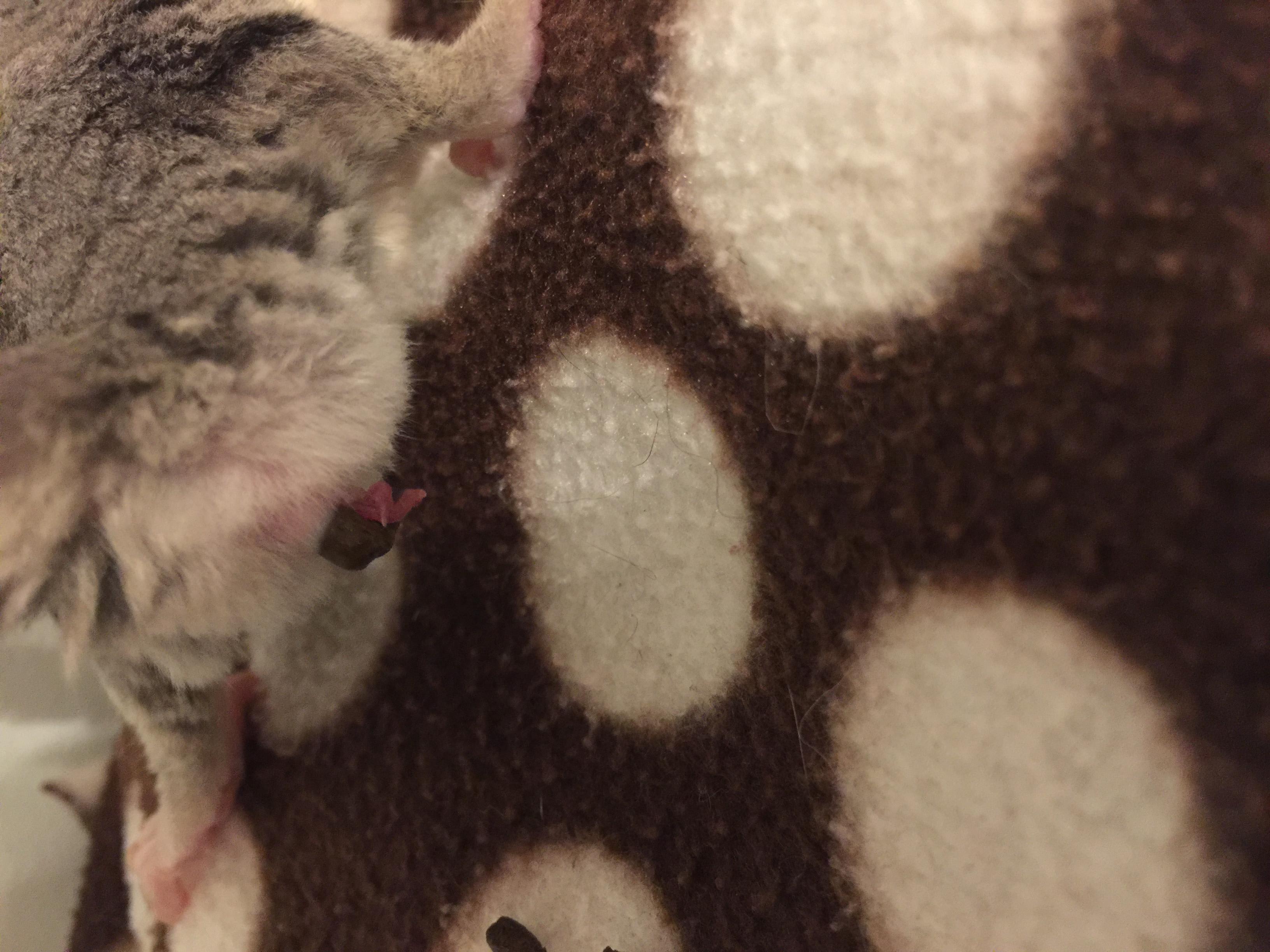 Question details sensitive content