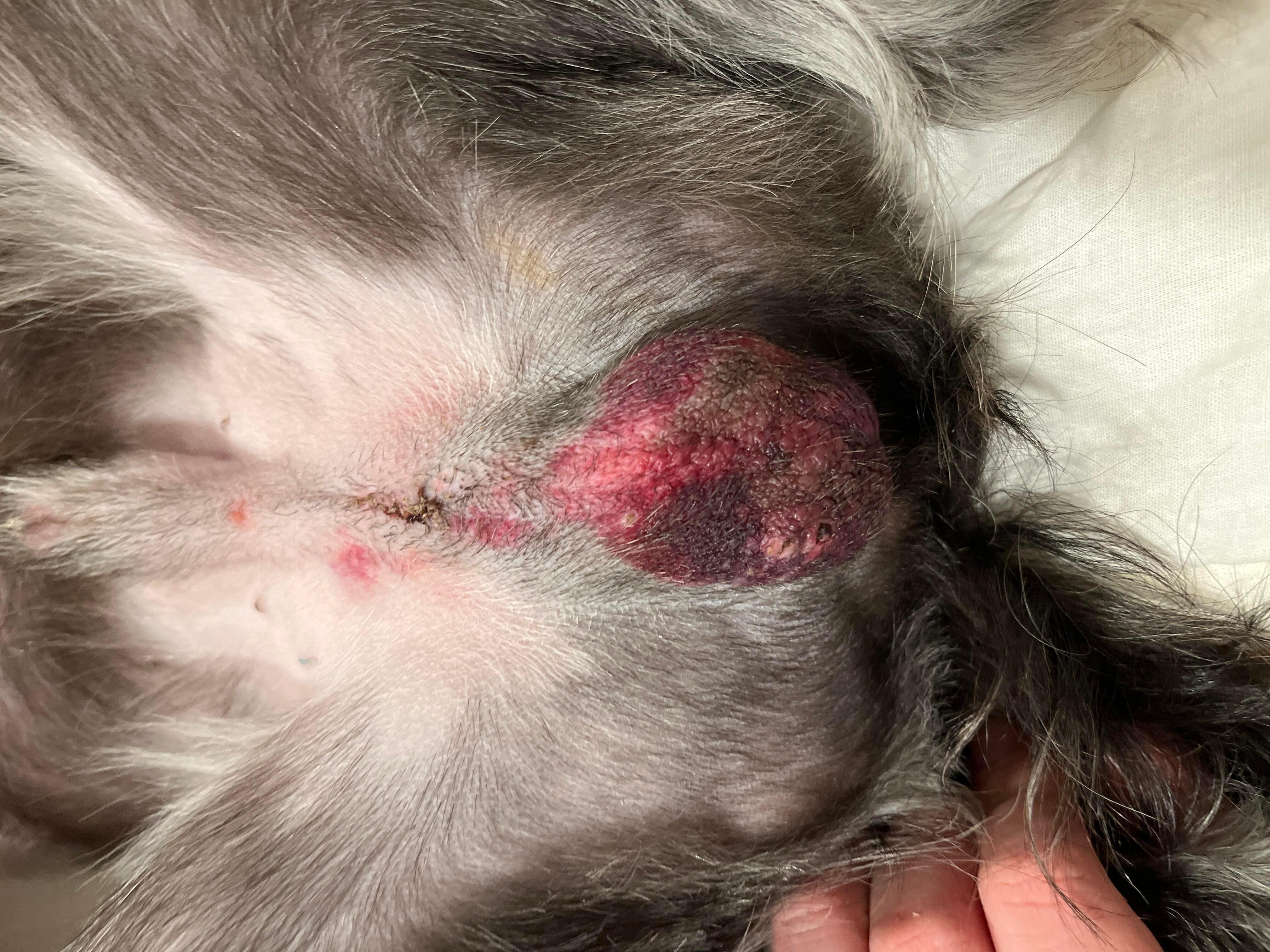 Question details sensitive content