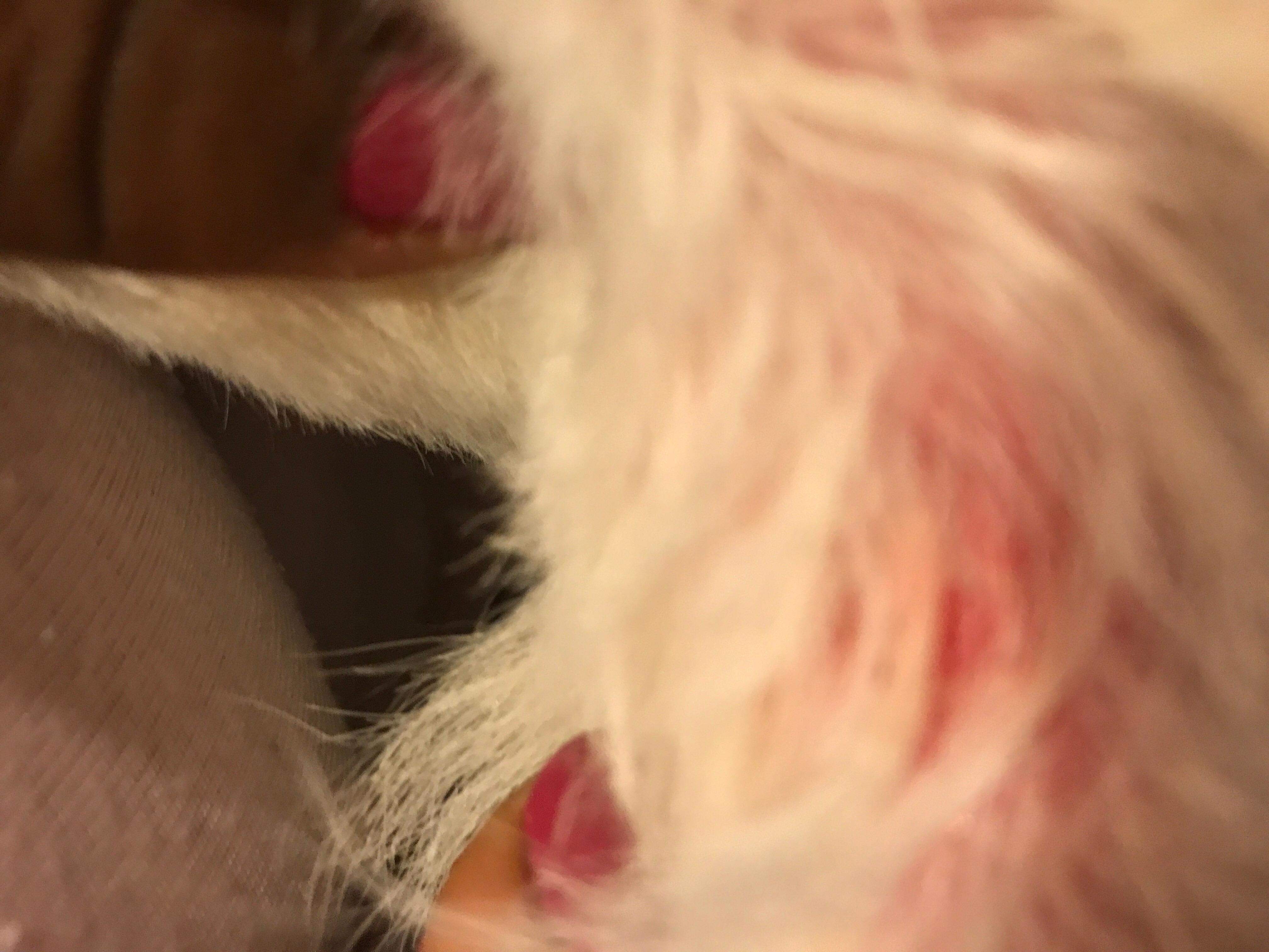 Question details sensitive content