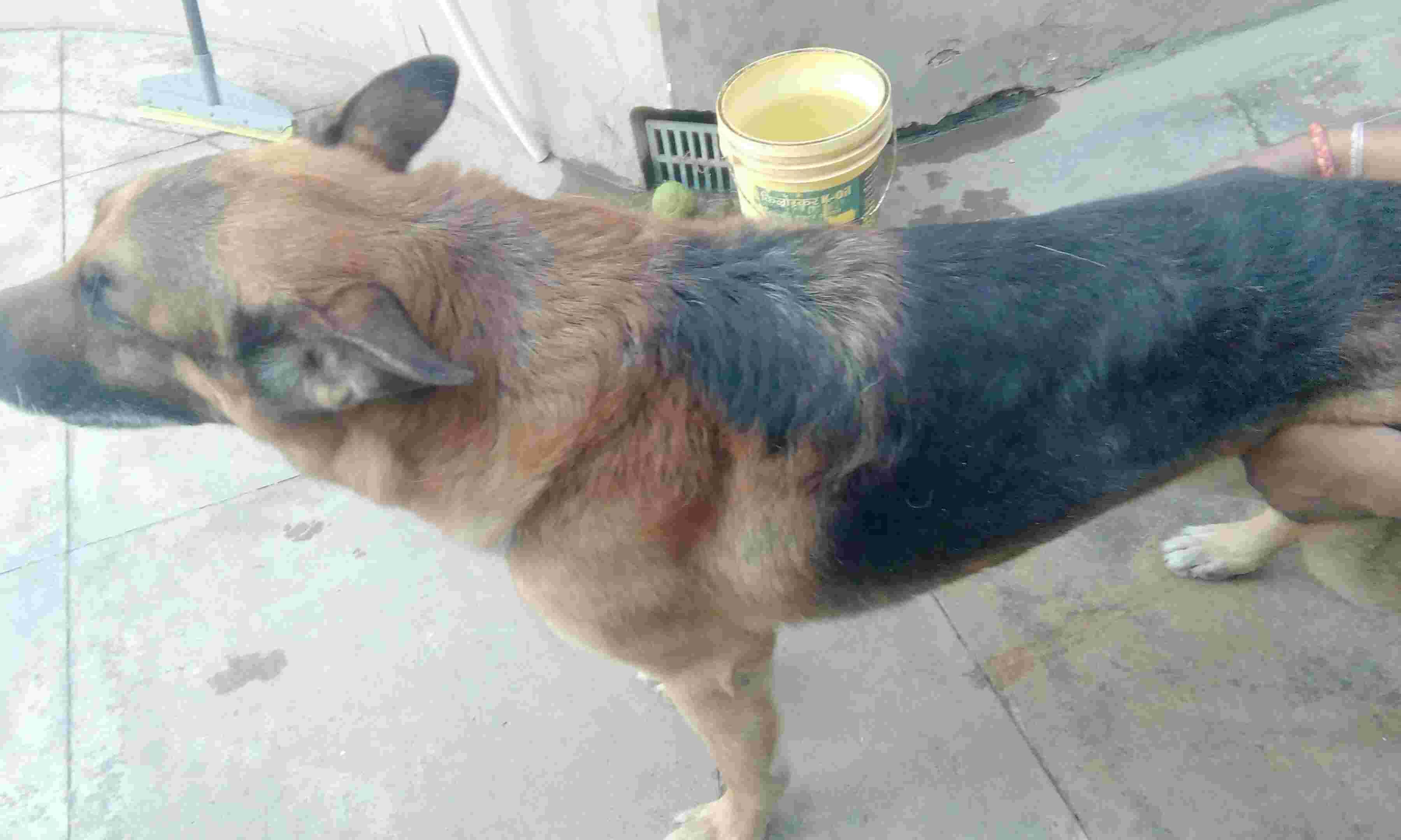 Question details sensitive content