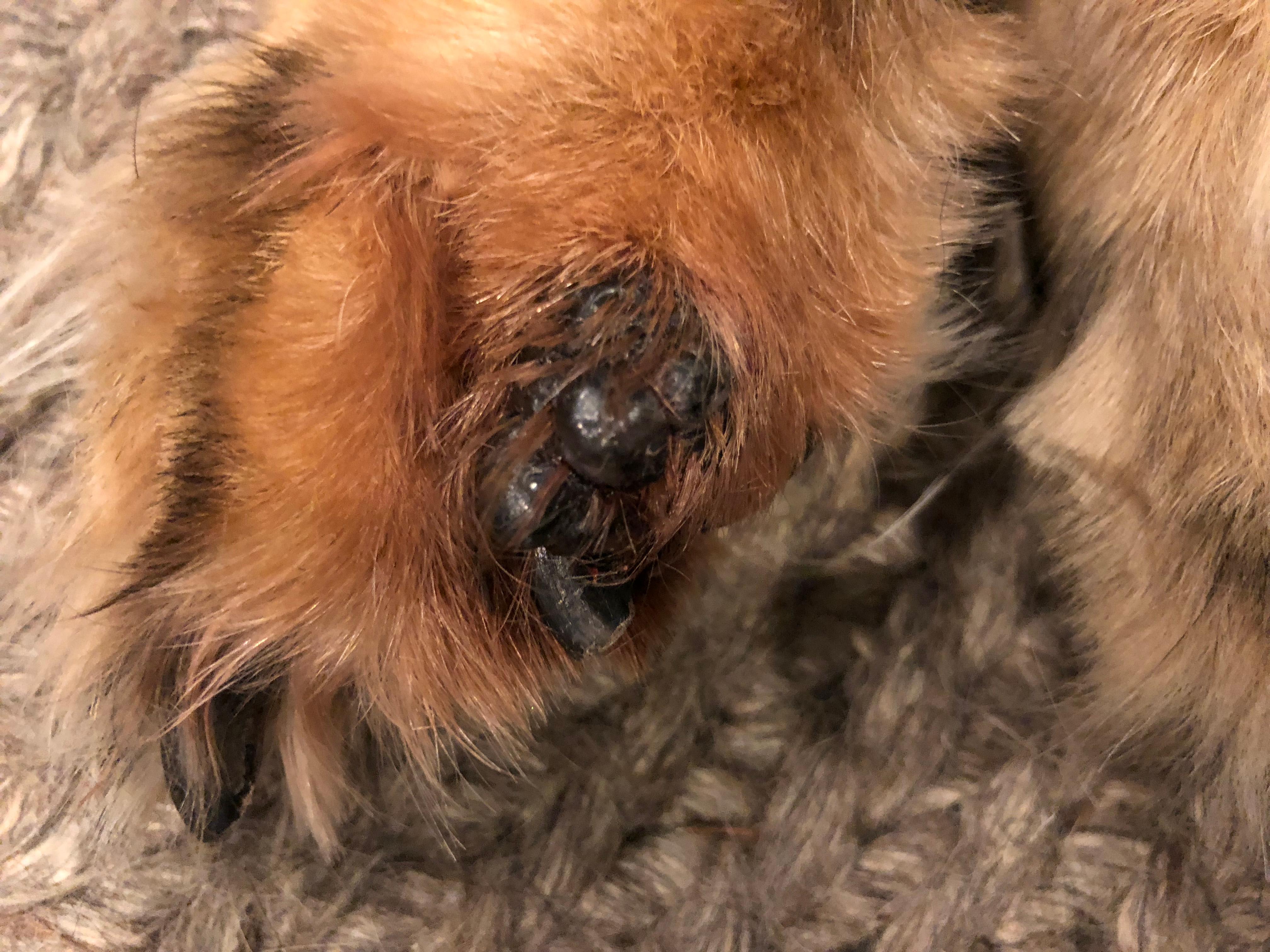 Question details sensitive content