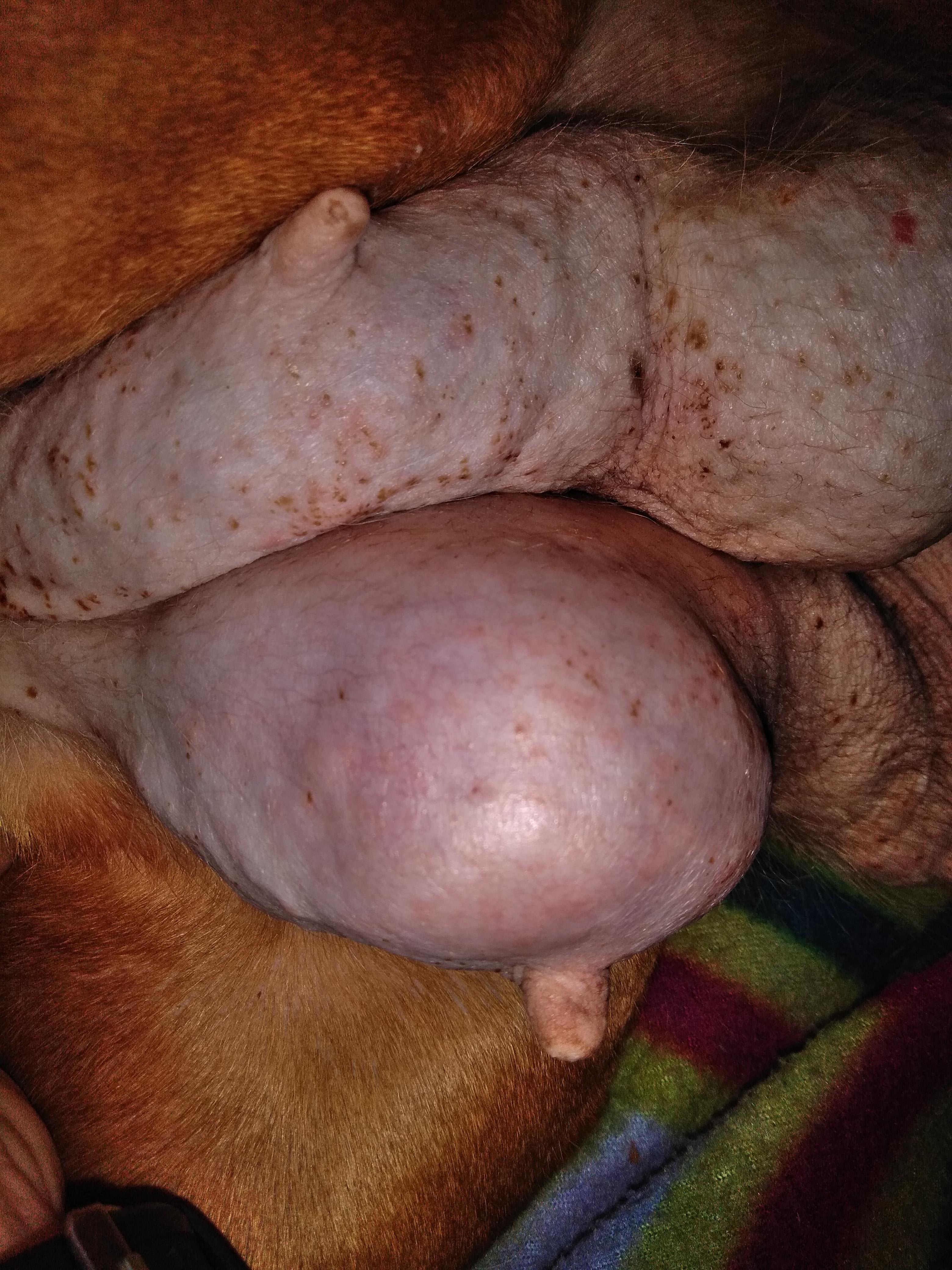 Question details sensitive content