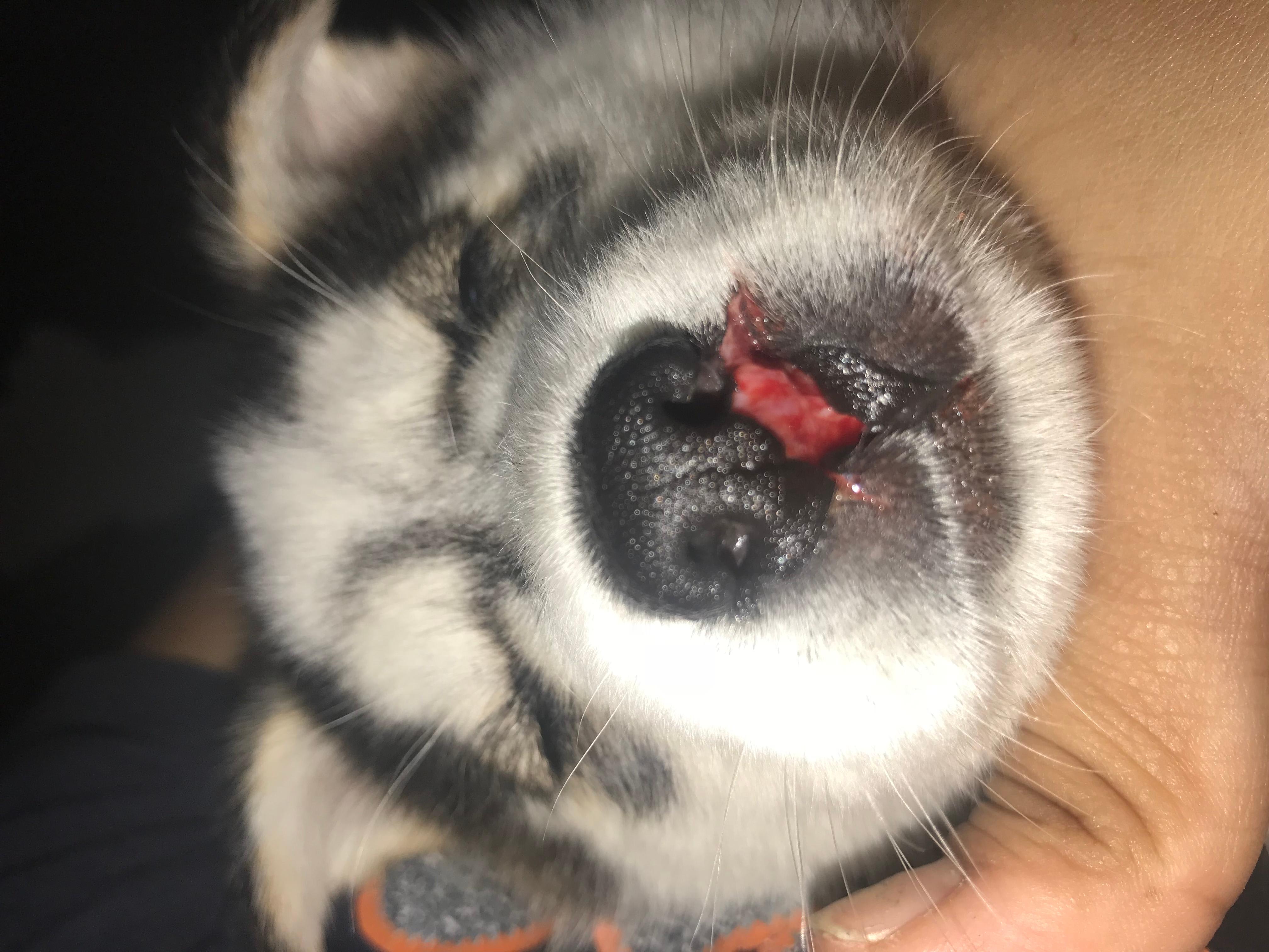 Question details sensitive content