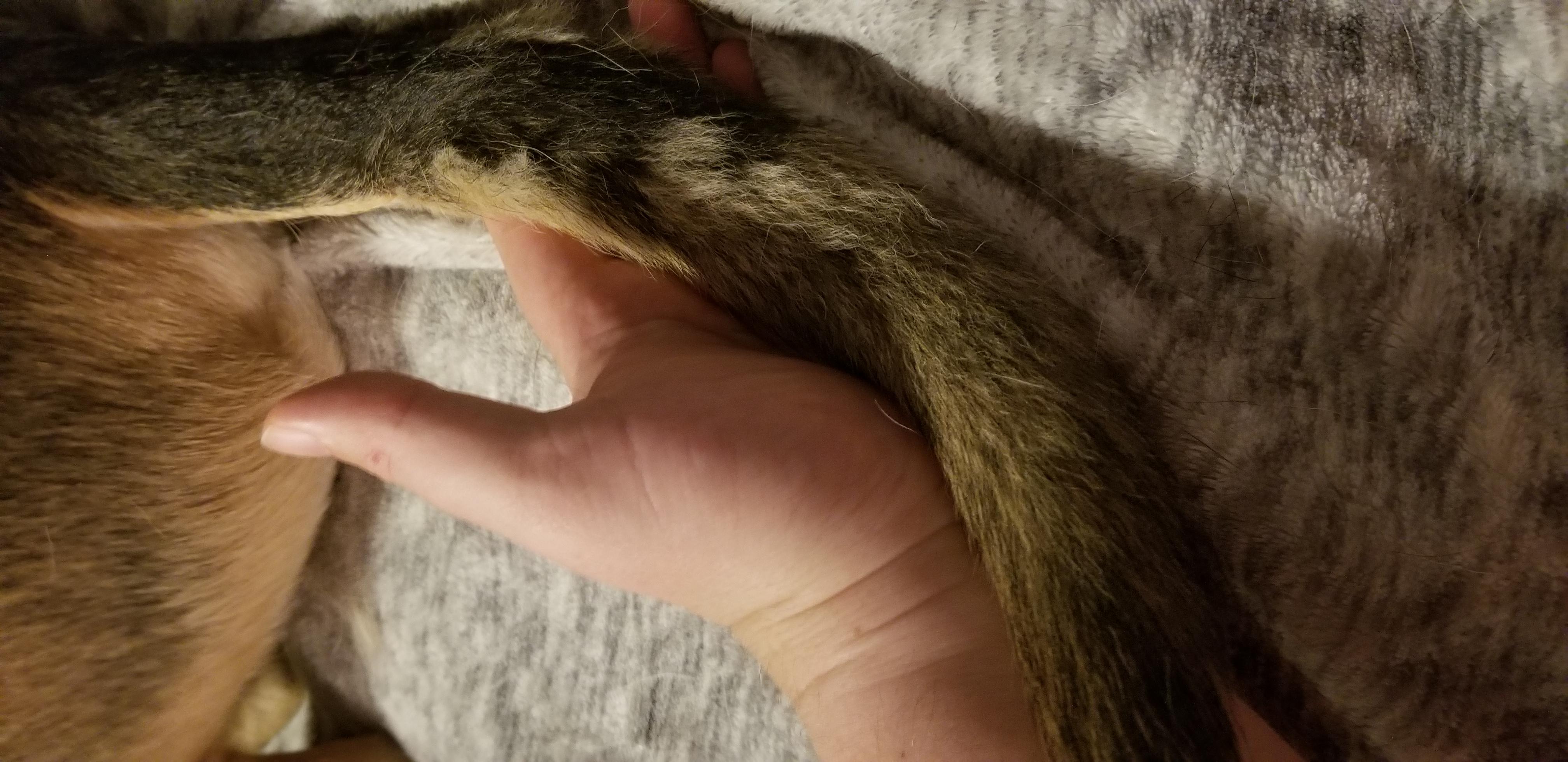 Question details sensitive content