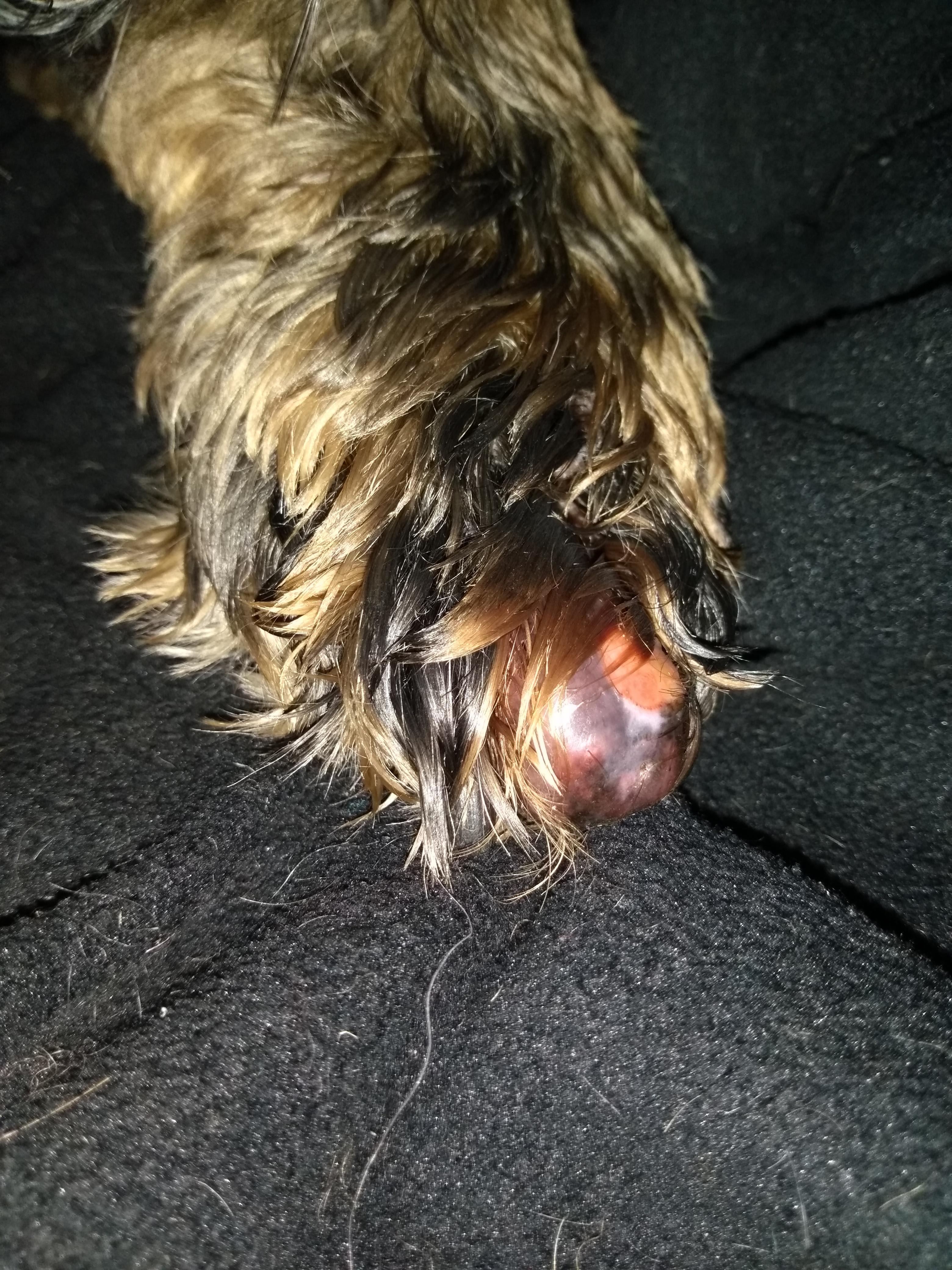 Question details sensitive content