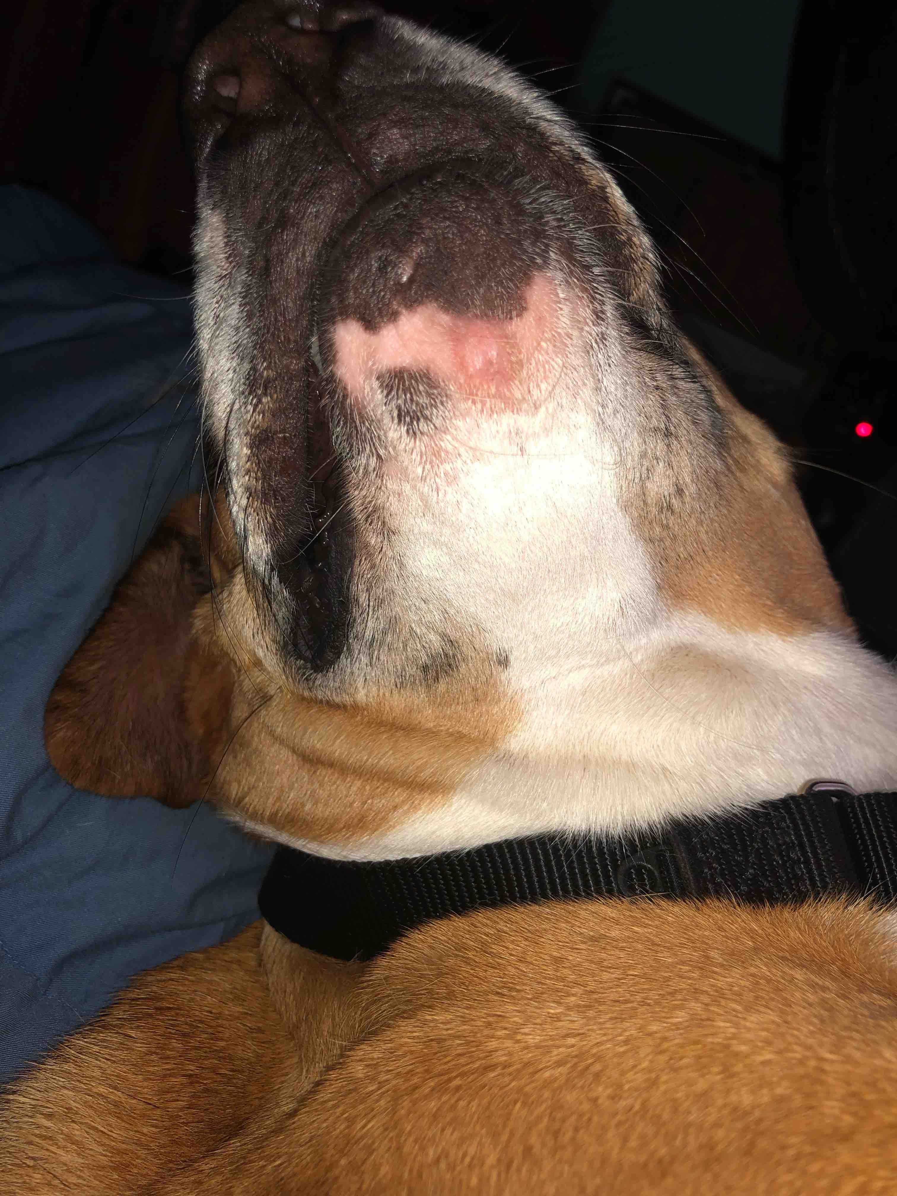 Question details sensitive content