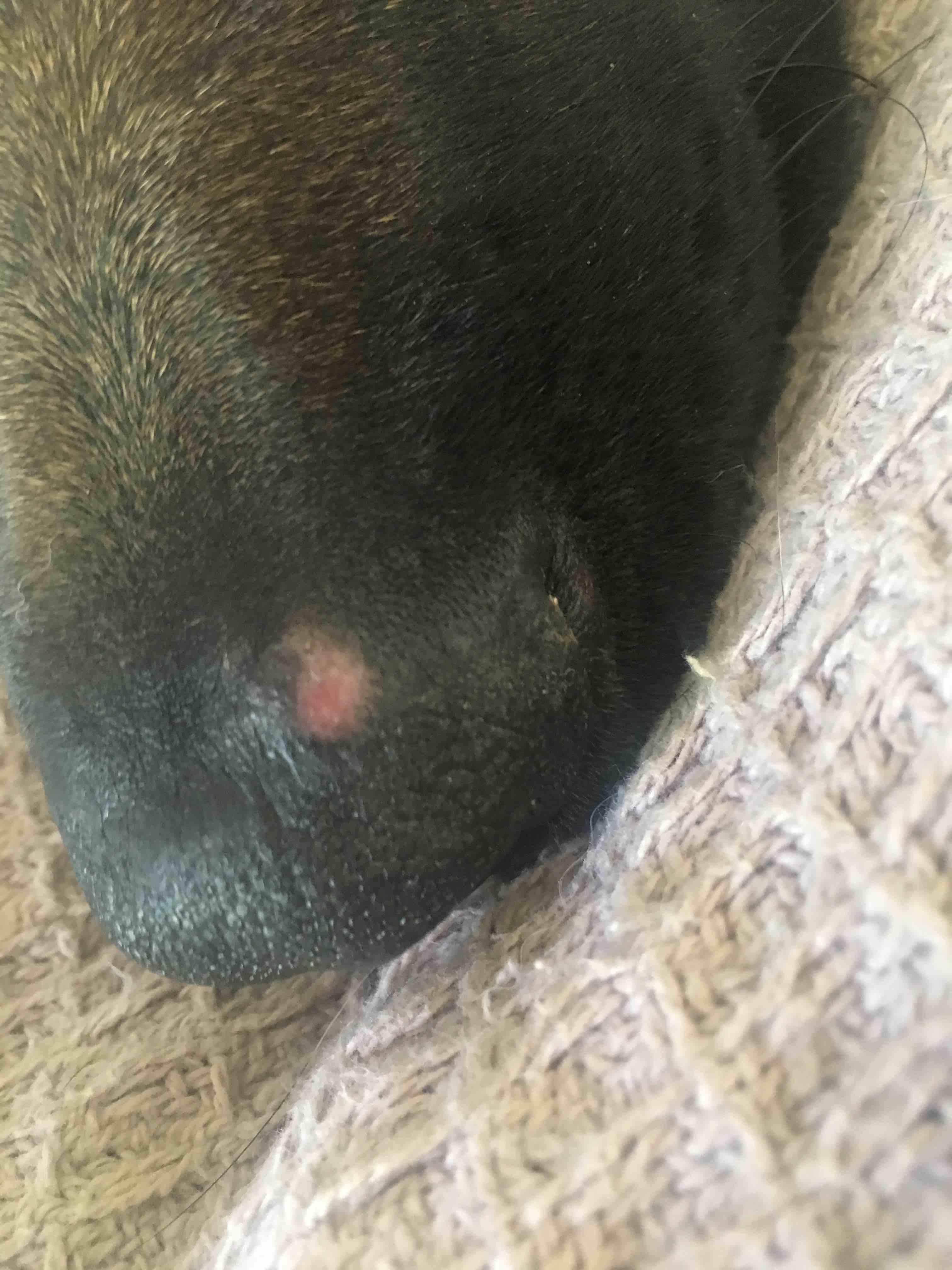 Question details sensitive content