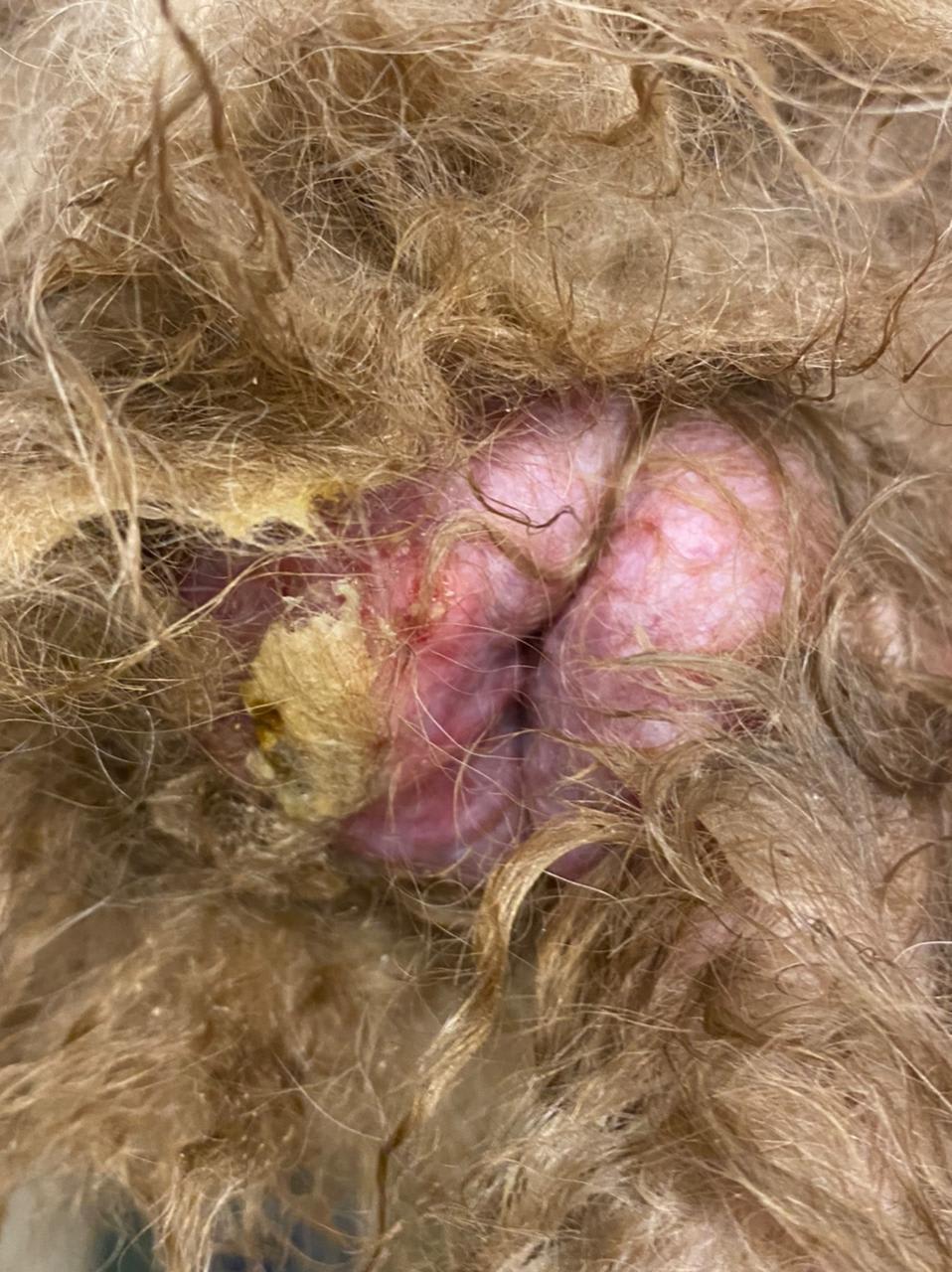 Question details sensitive content