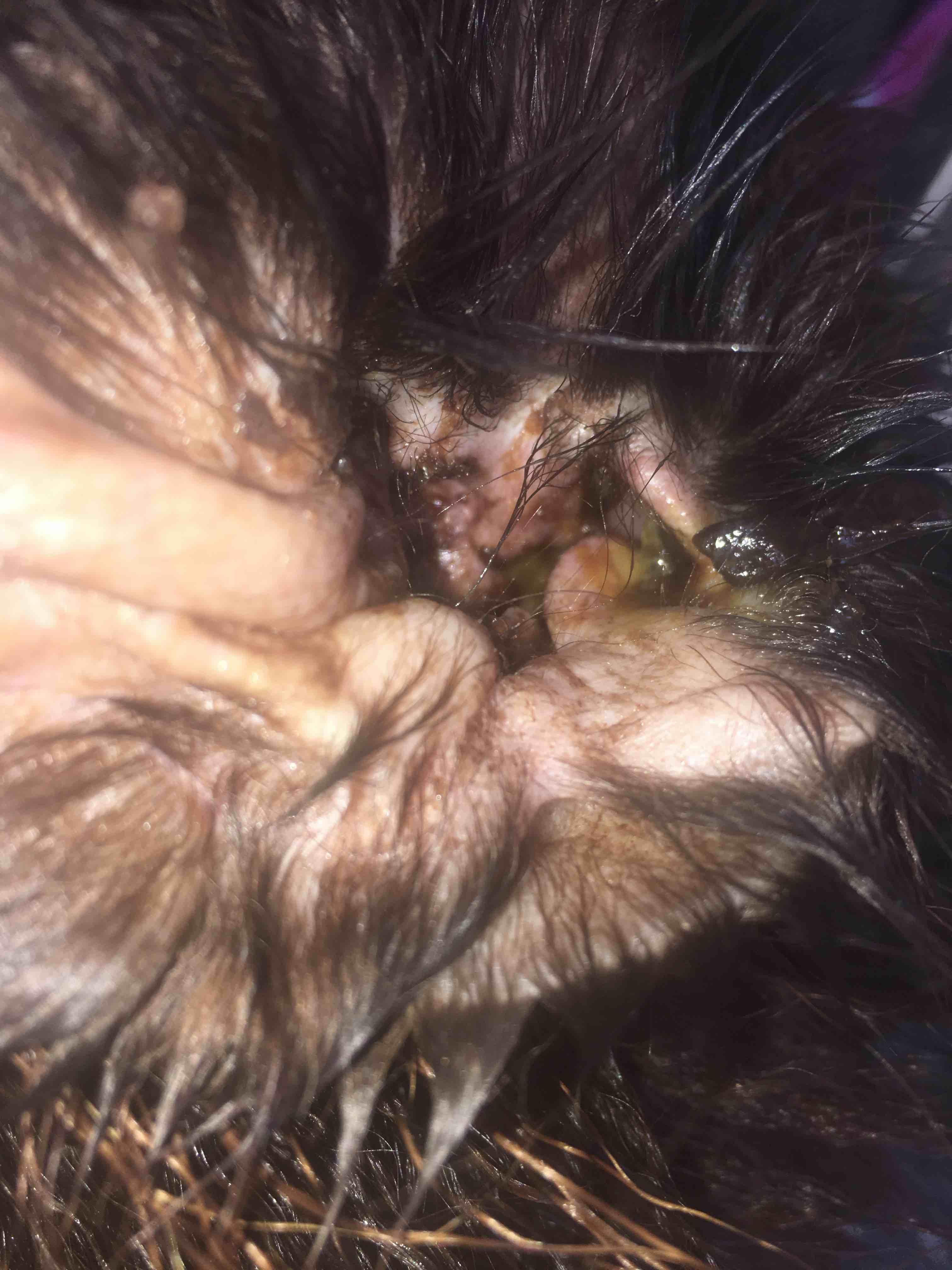 Question details sensitive content