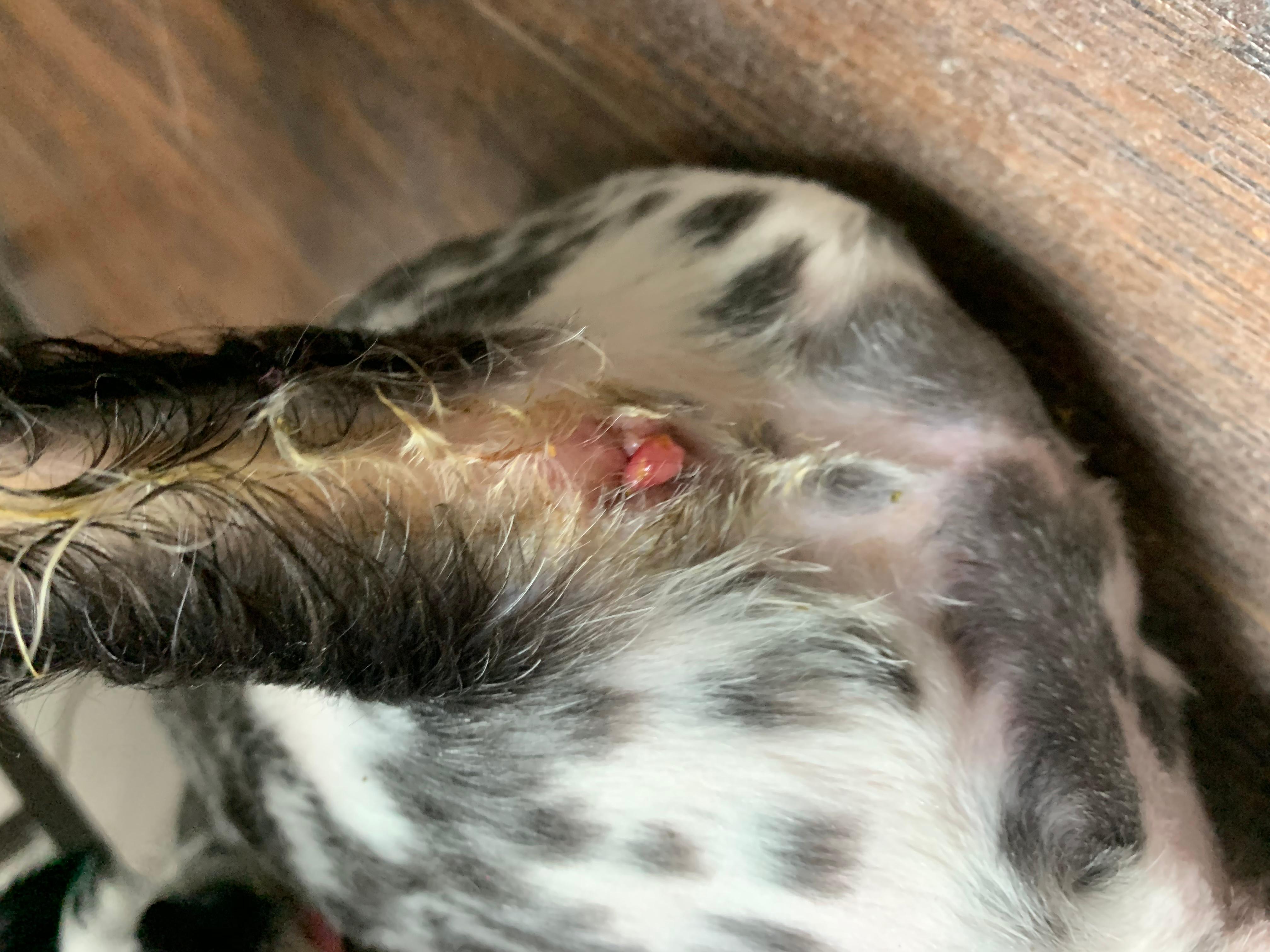 Question details sensitive content