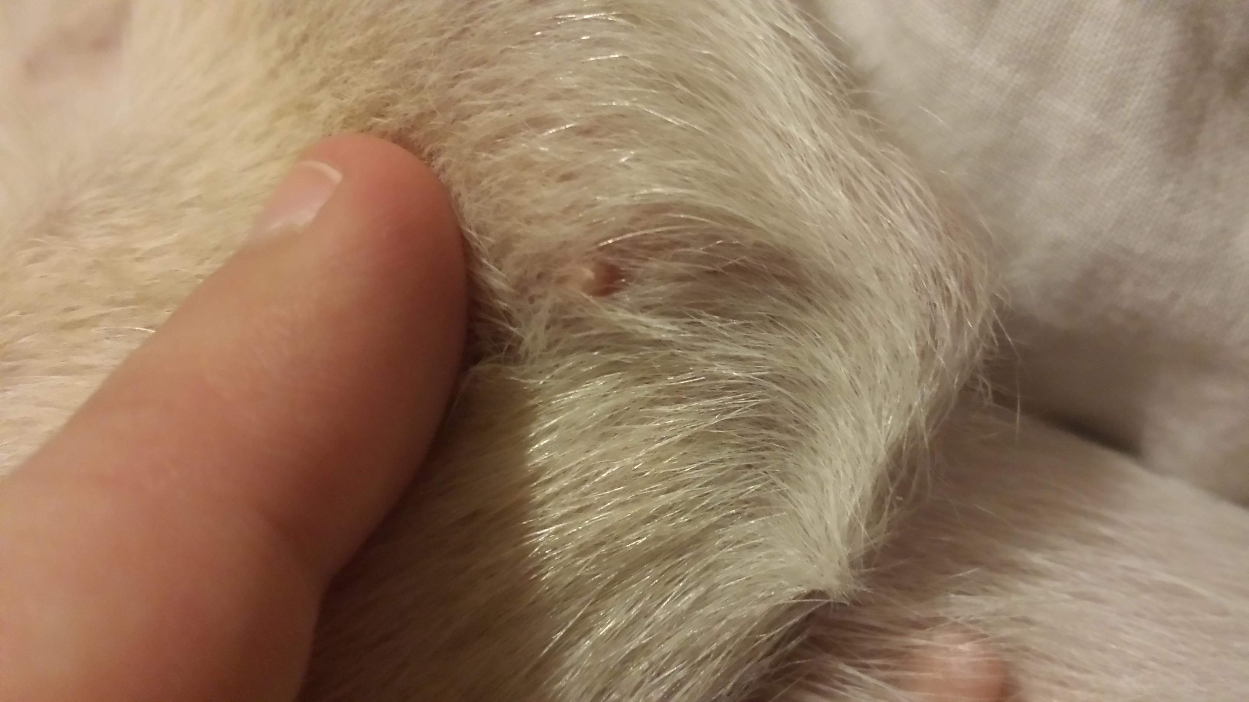 Question details sensitive content