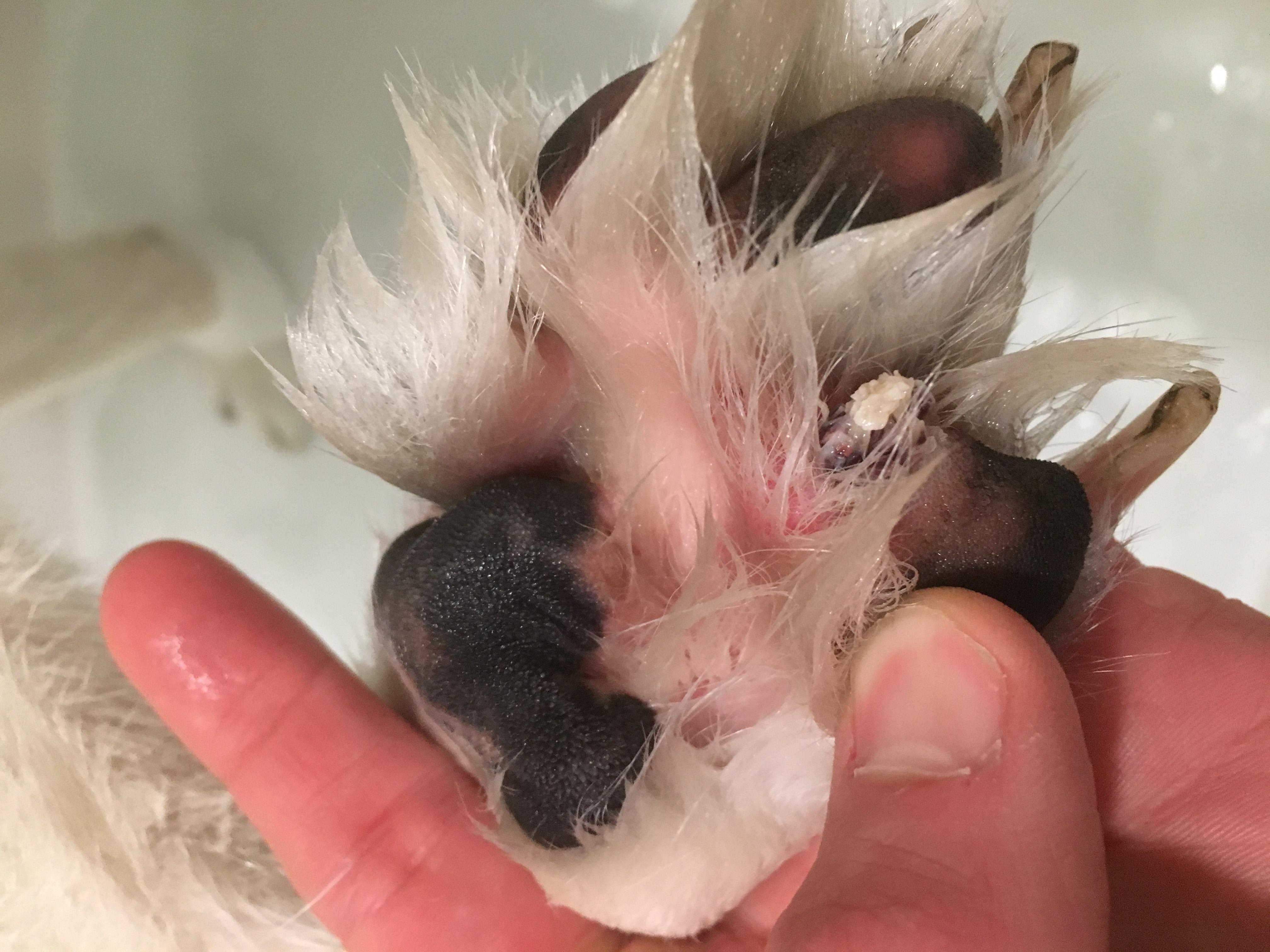 Question details sensitive content