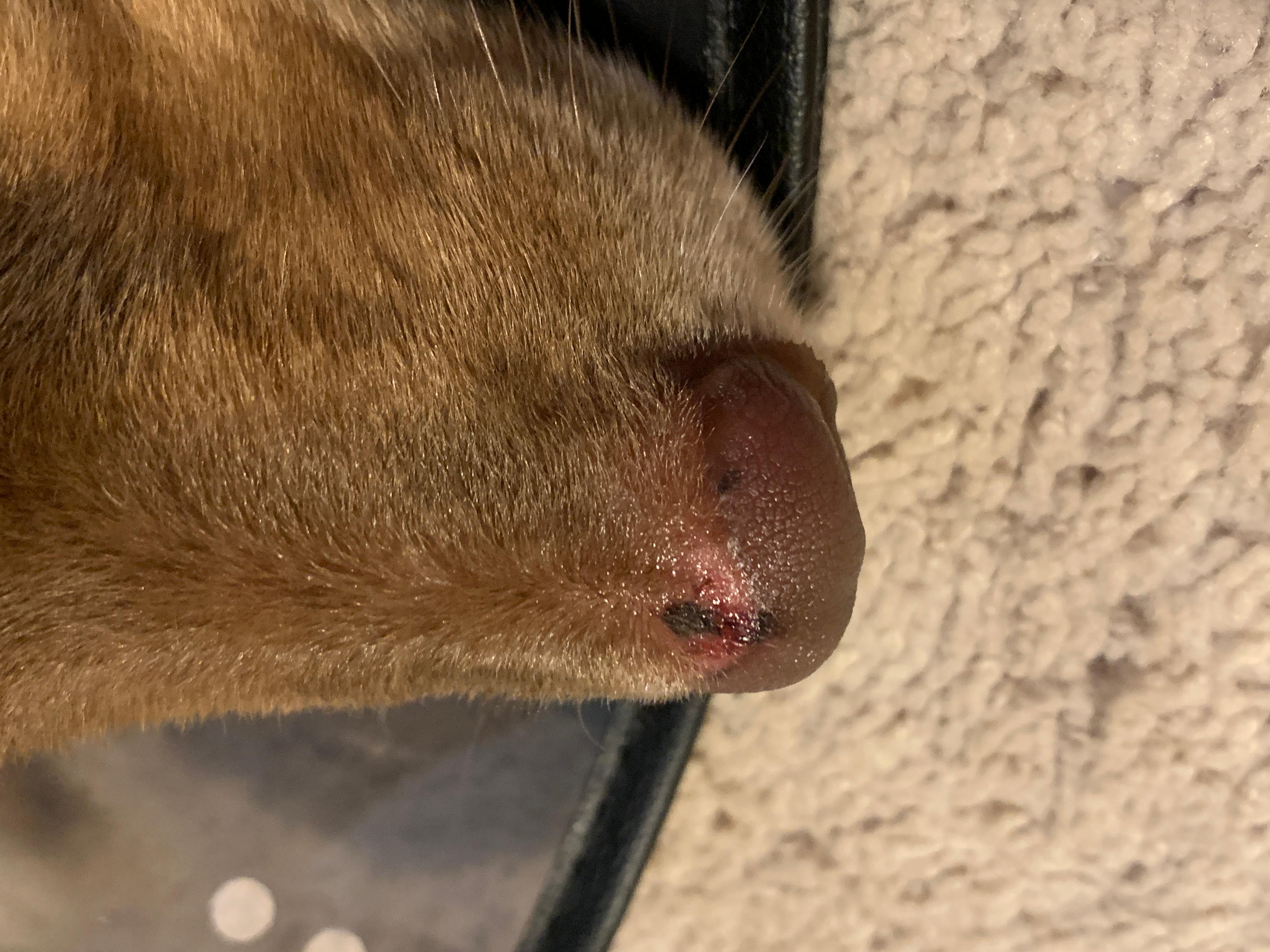 Question details sensitive content