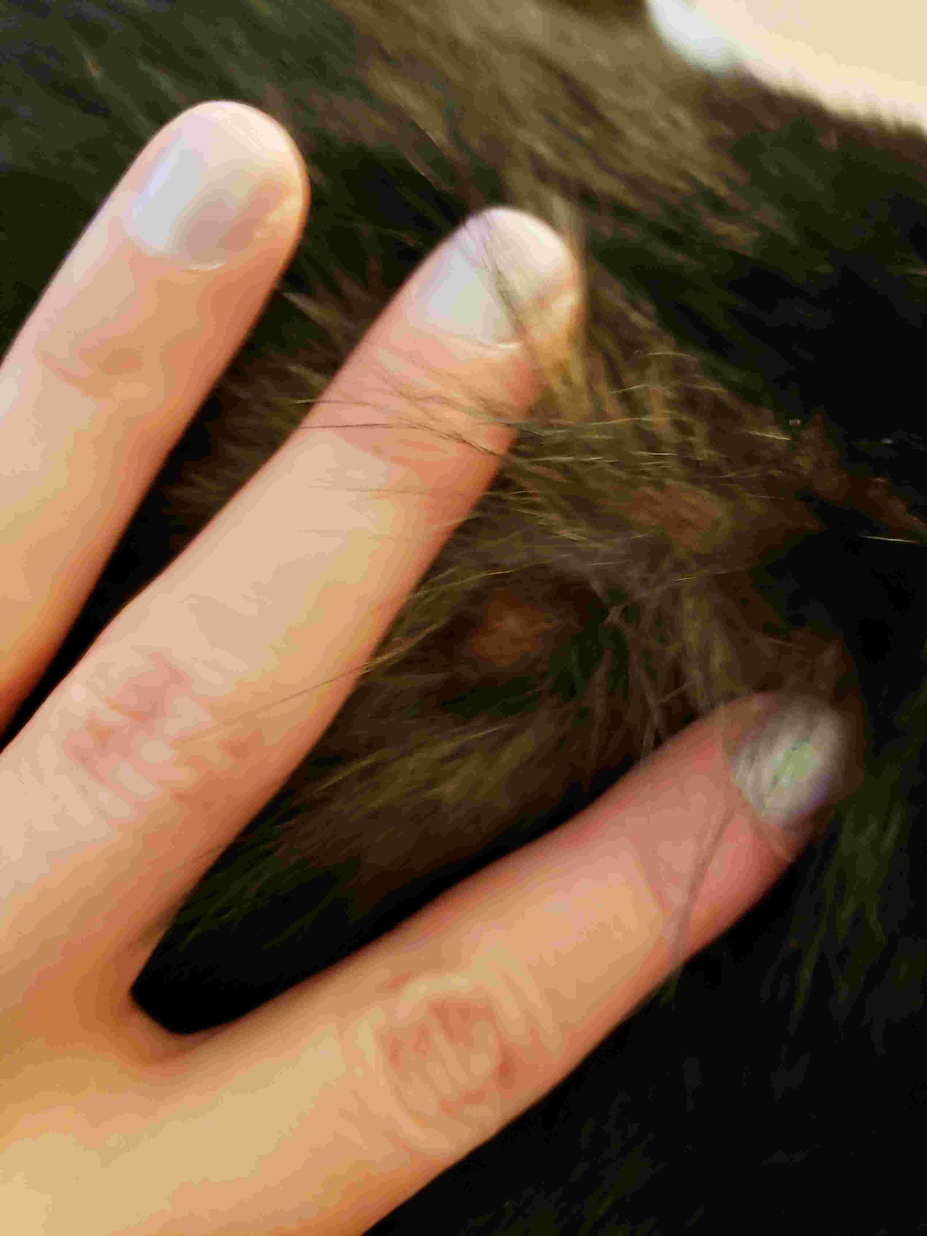 Question details sensitive content