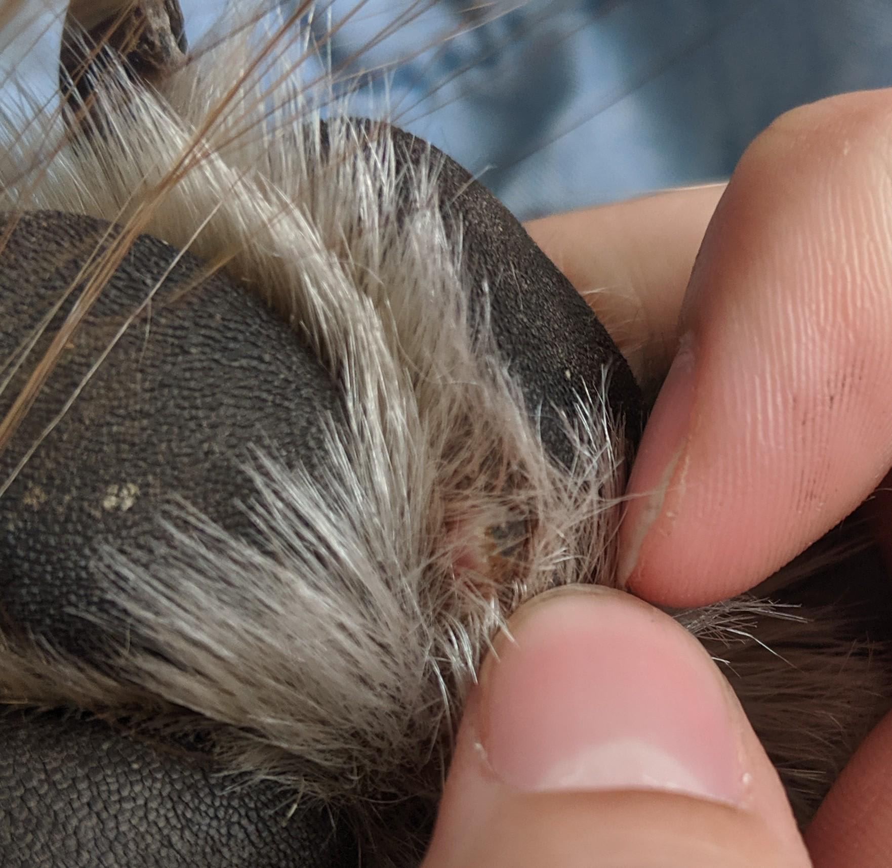 Question details sensitive content