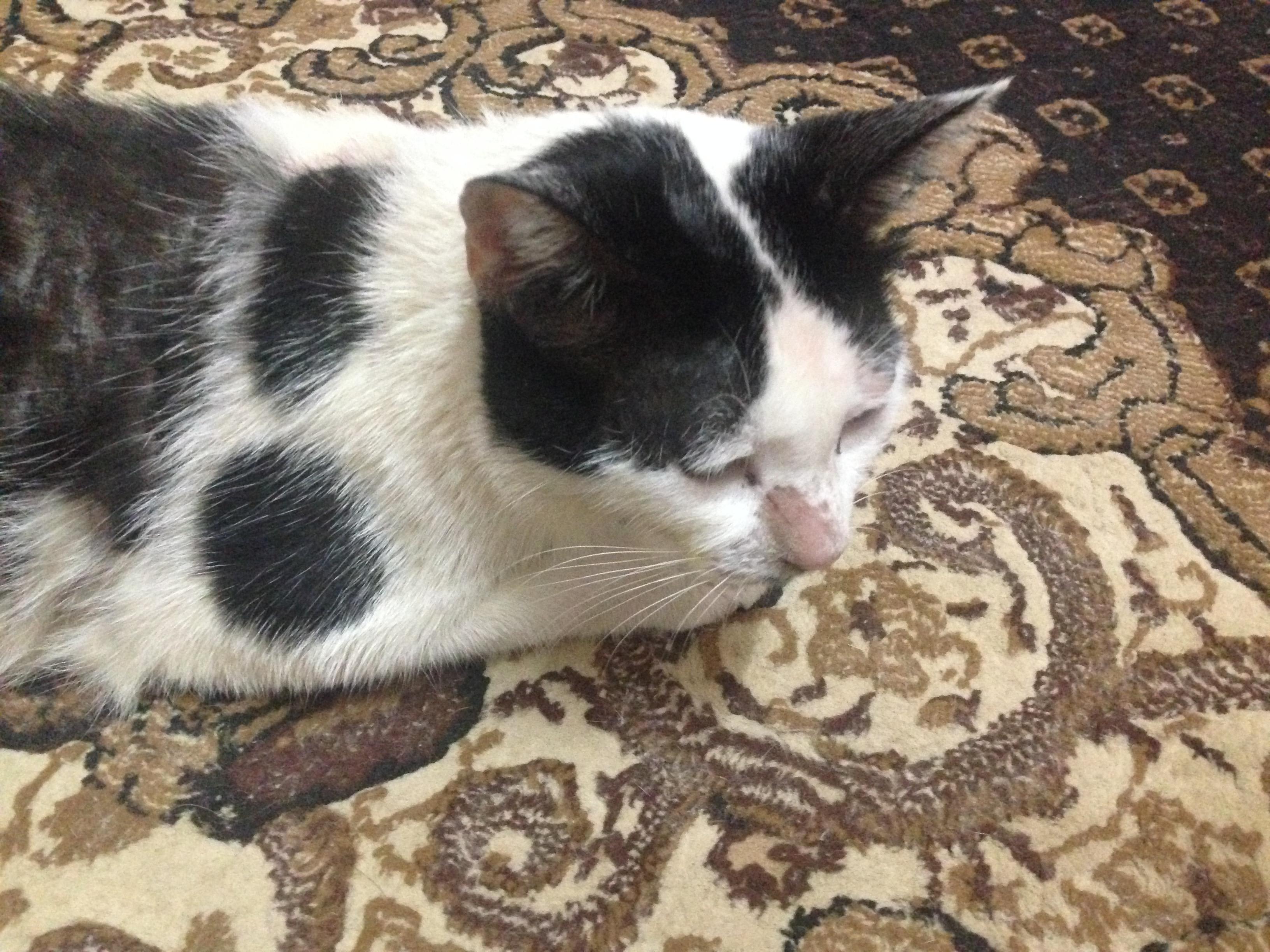 Question details sensitive content