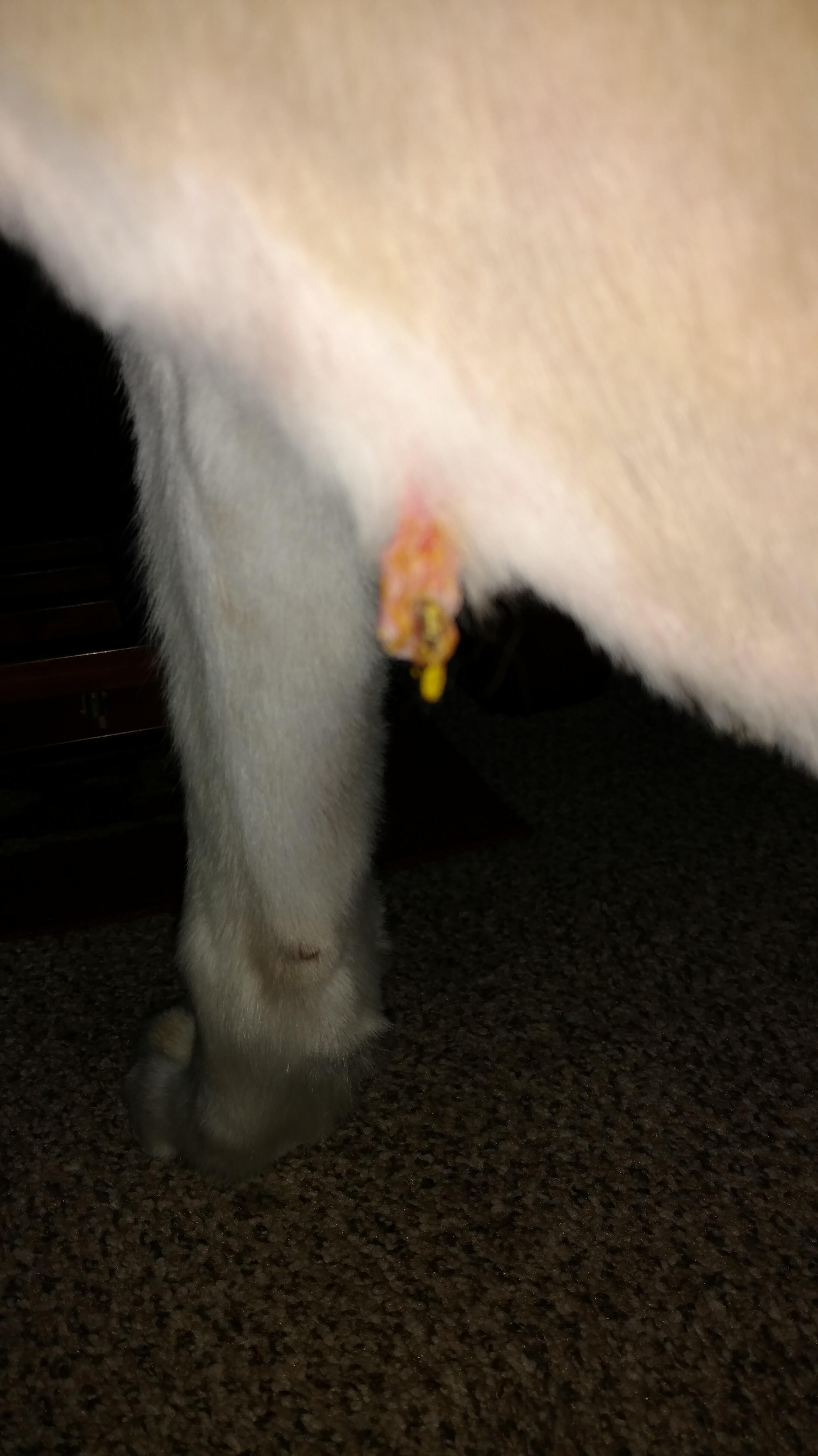 Question details sensitive content