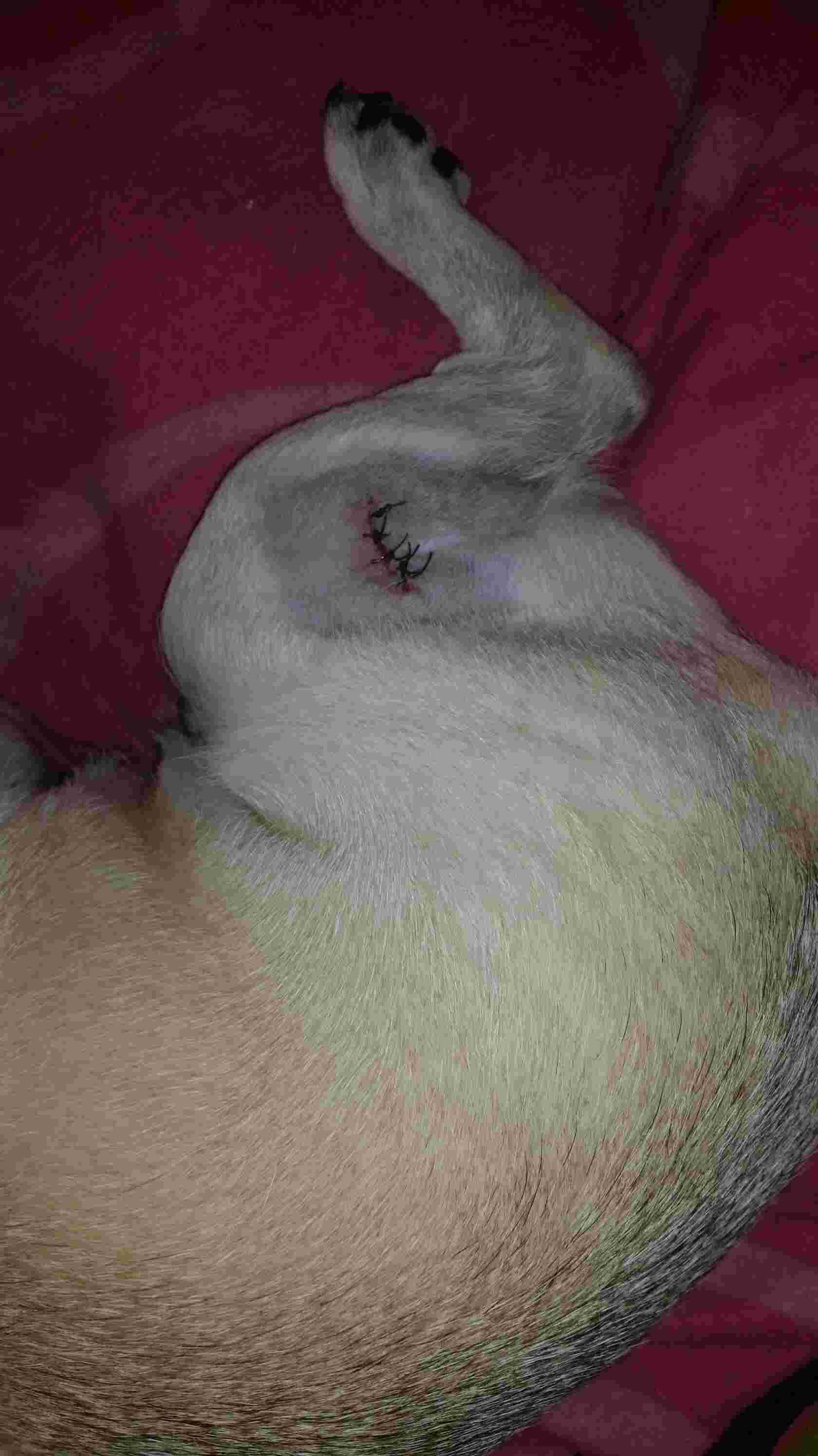 Question details sensitive content