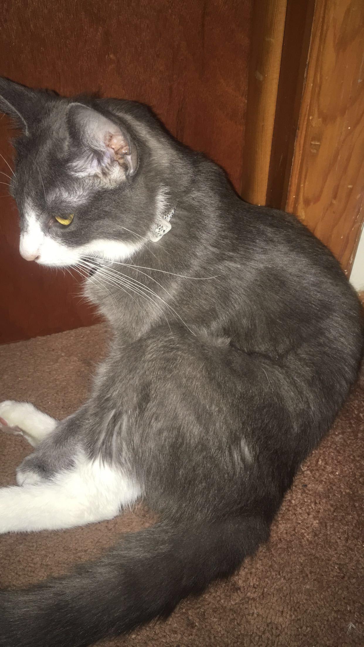 Question details sensitive content