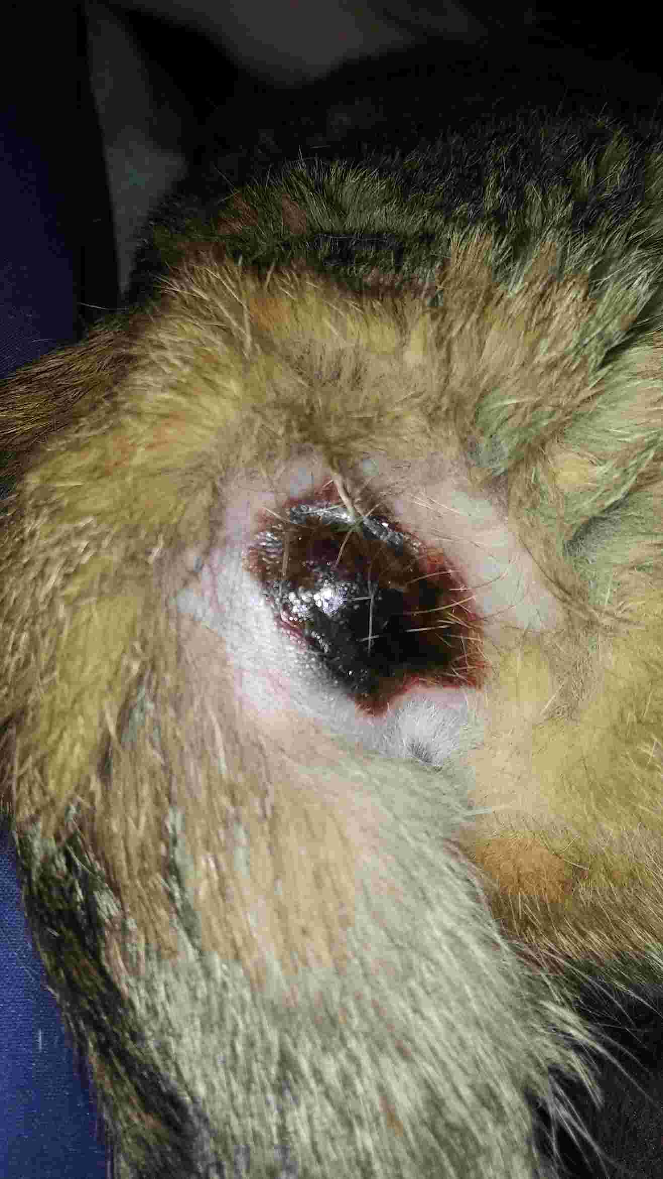 Question details sensitive content