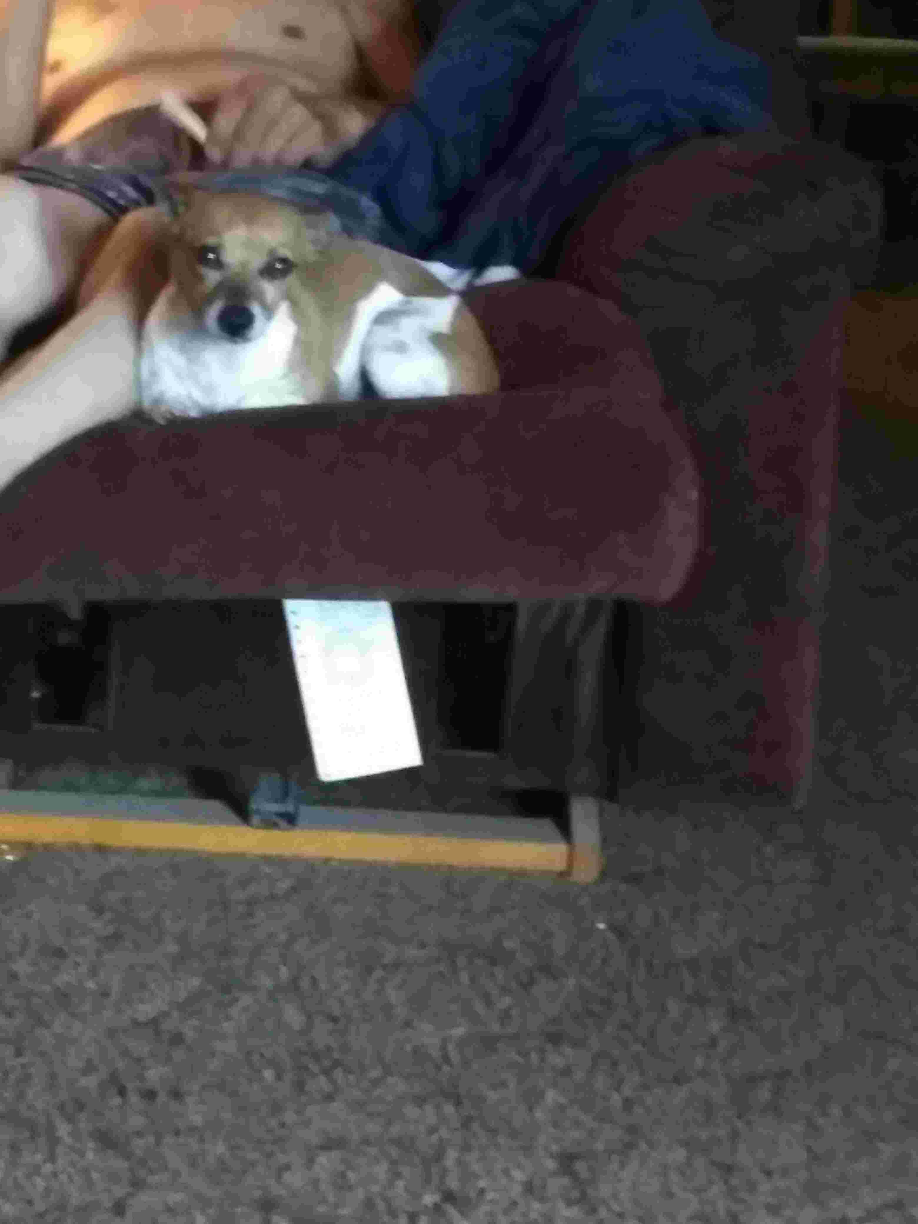 Question details sensitive content