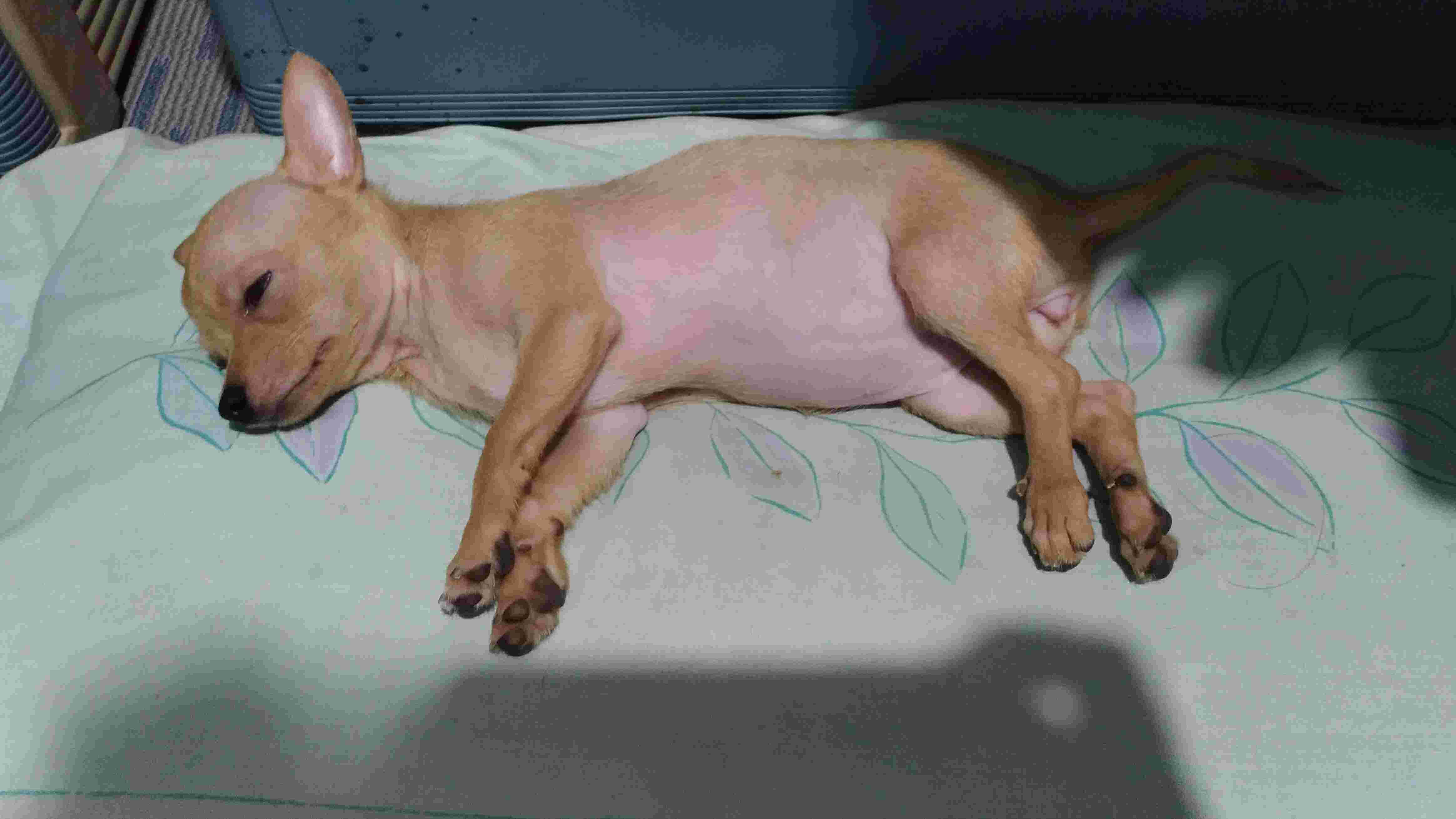 Question details sensitive content