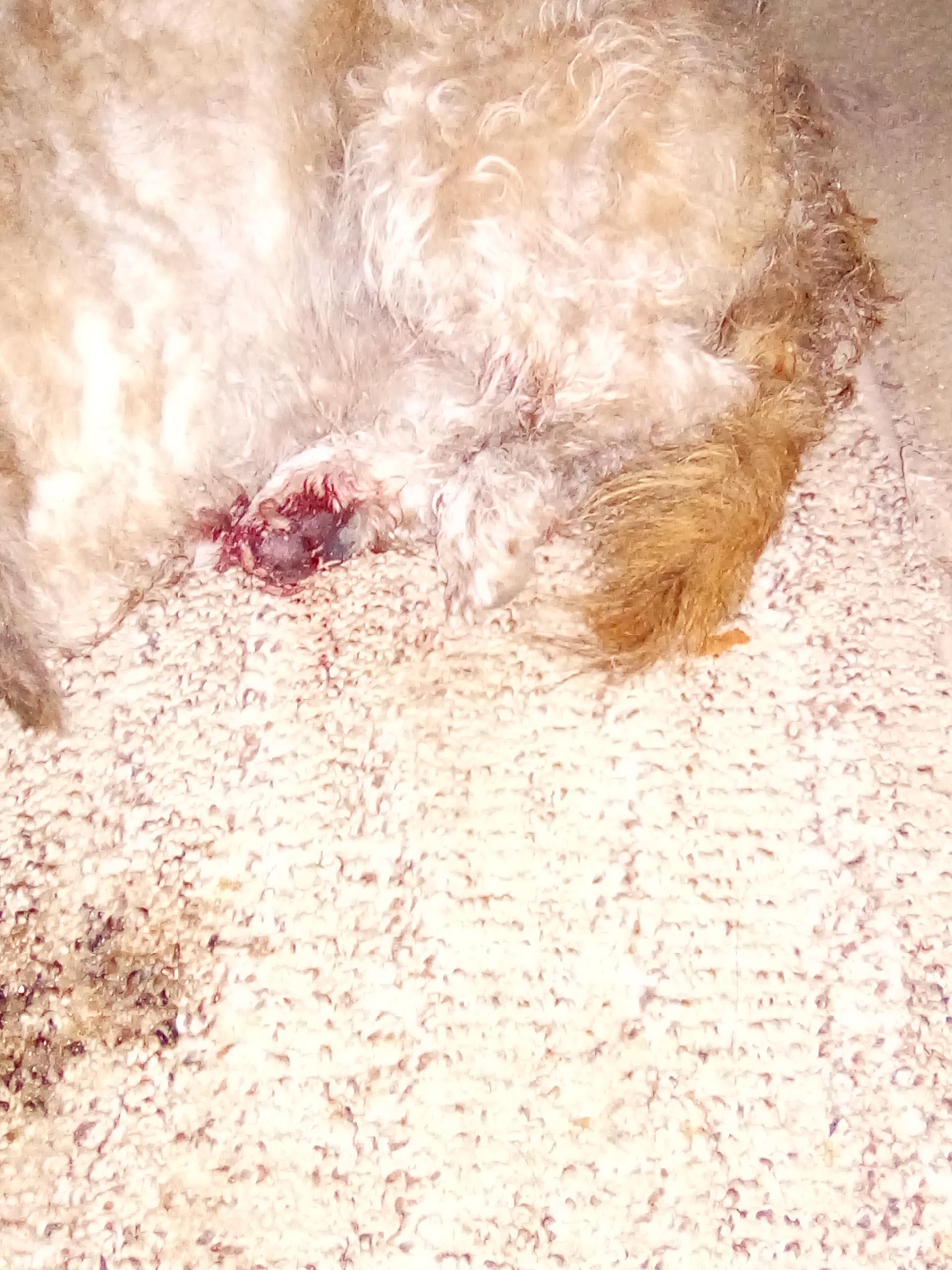 Question details sensitive content